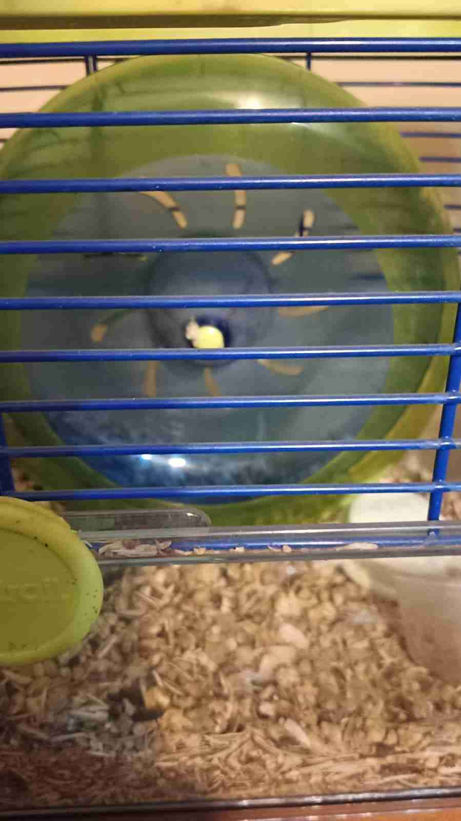 Jaula para hamamster - miniatura 2