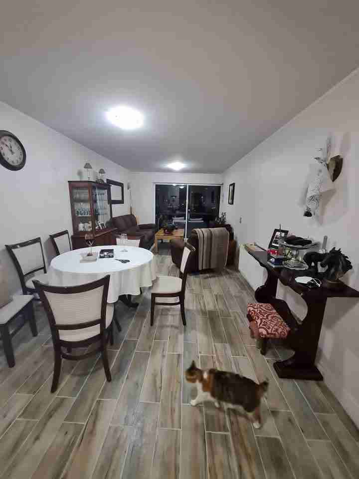 Maestro instalacion de porcelanato y ceramica - miniatura 3