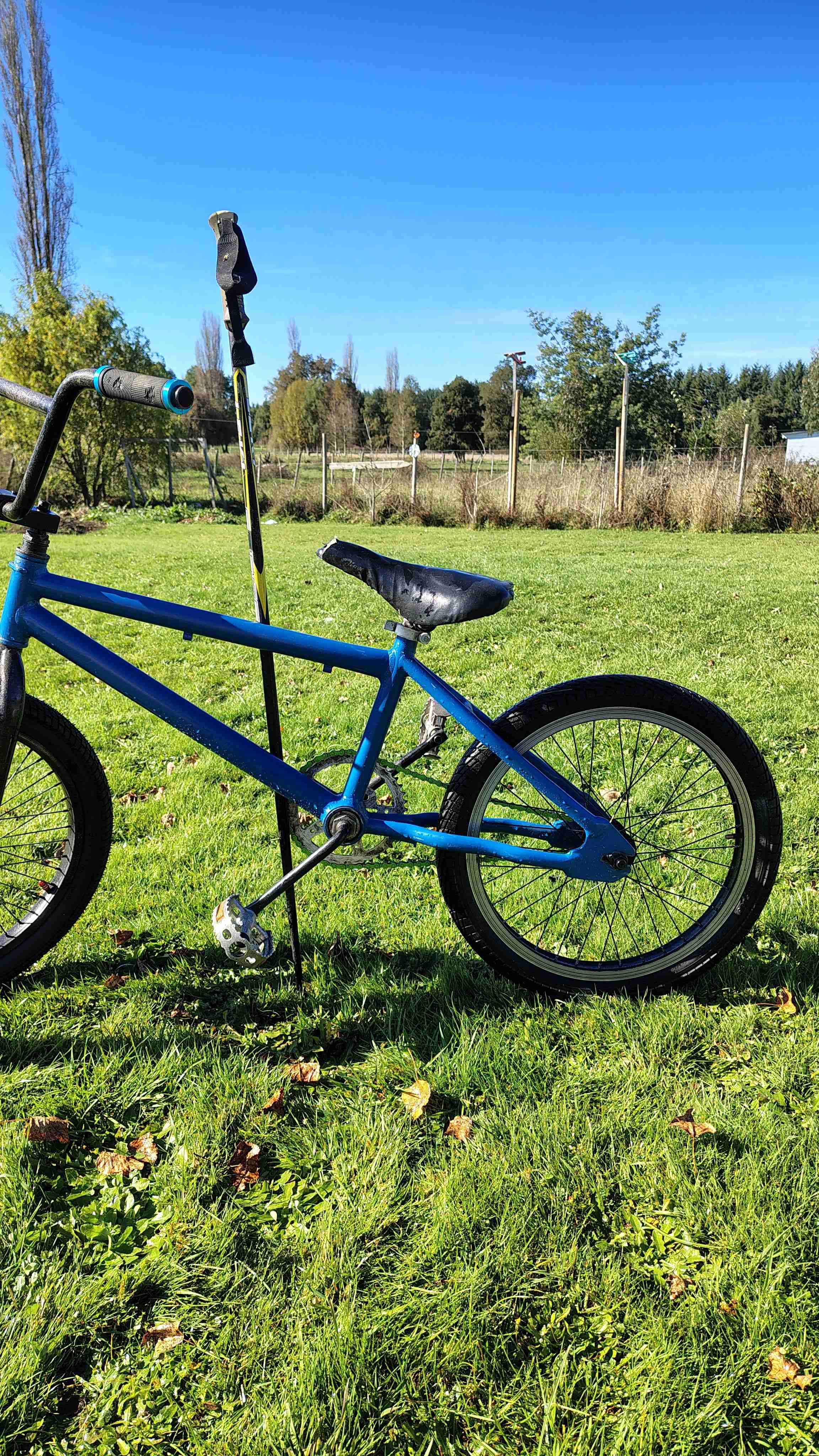 Bicicleta BMX azul - miniatura 5