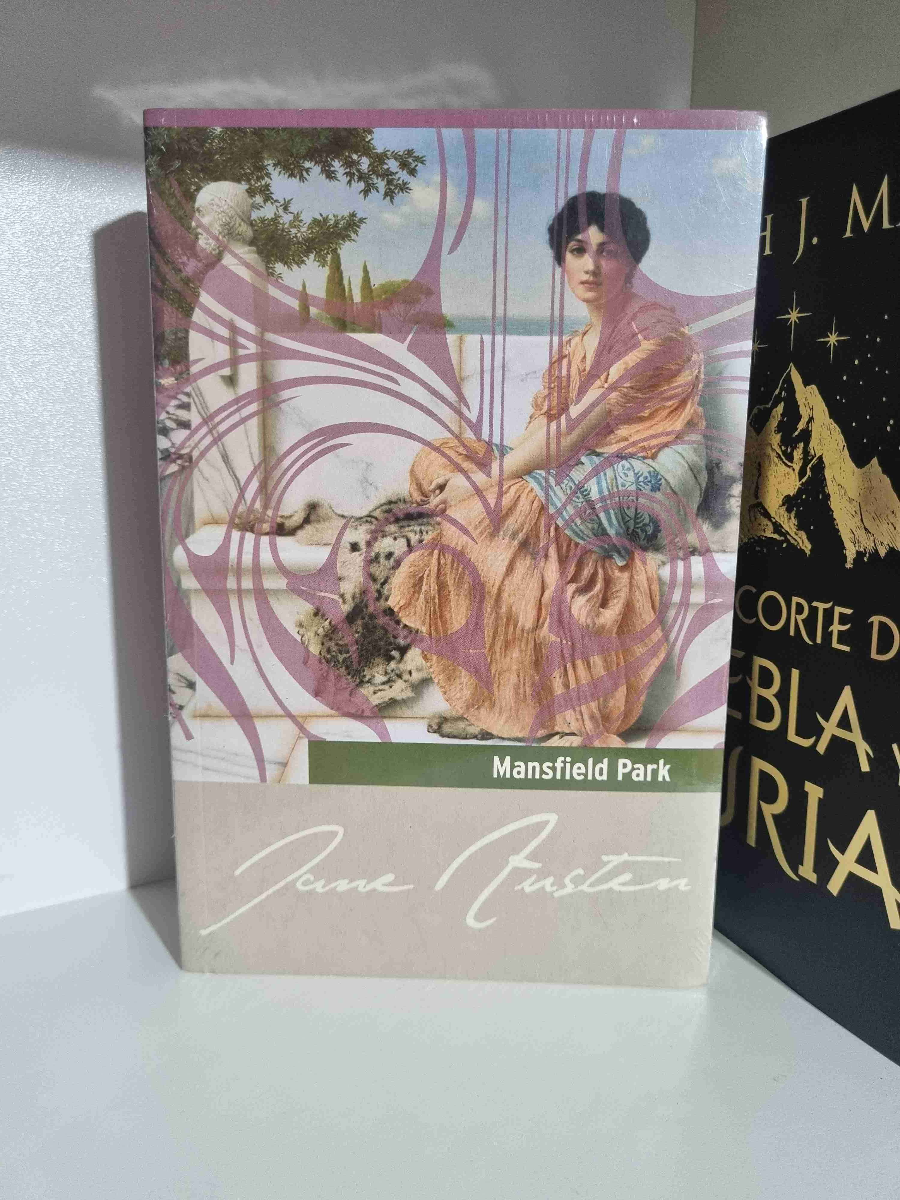 Colección libros Jane Austen - miniatura 5