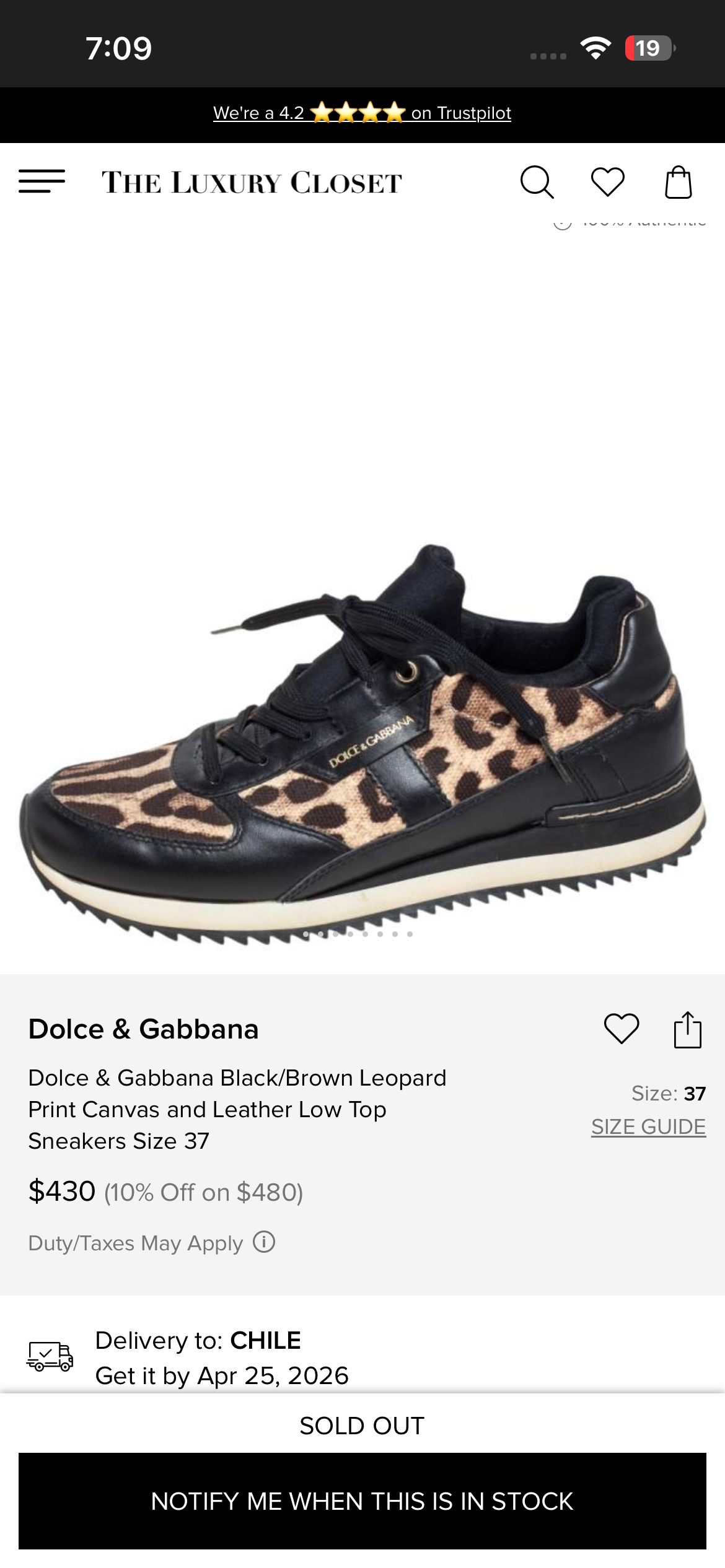 Zapatillas Dolce & Gabbana leopardo - miniatura 2