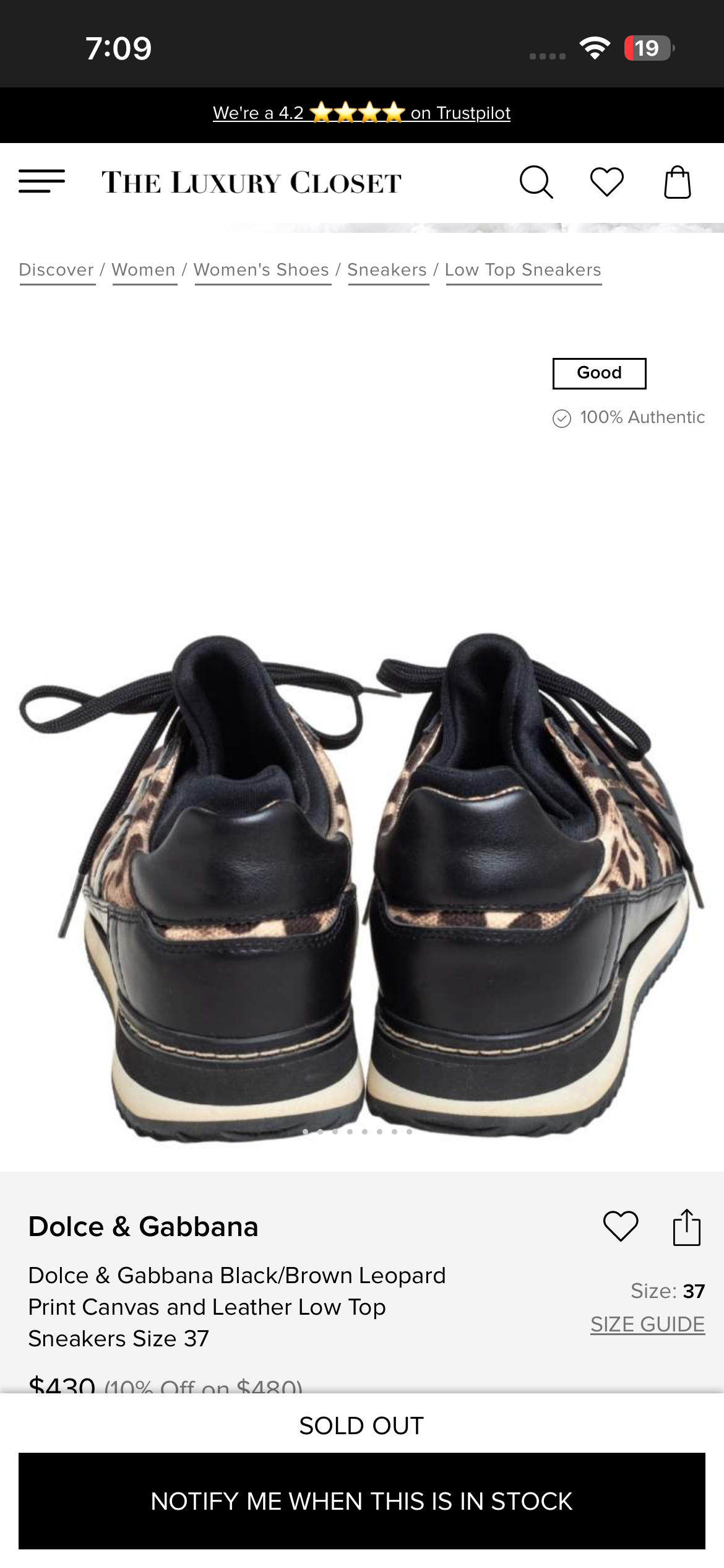 Zapatillas Dolce & Gabbana leopardo - miniatura 4