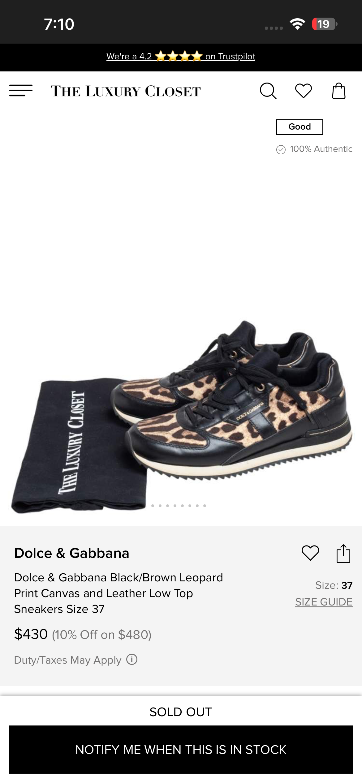 Zapatillas Dolce & Gabbana leopardo - miniatura 6