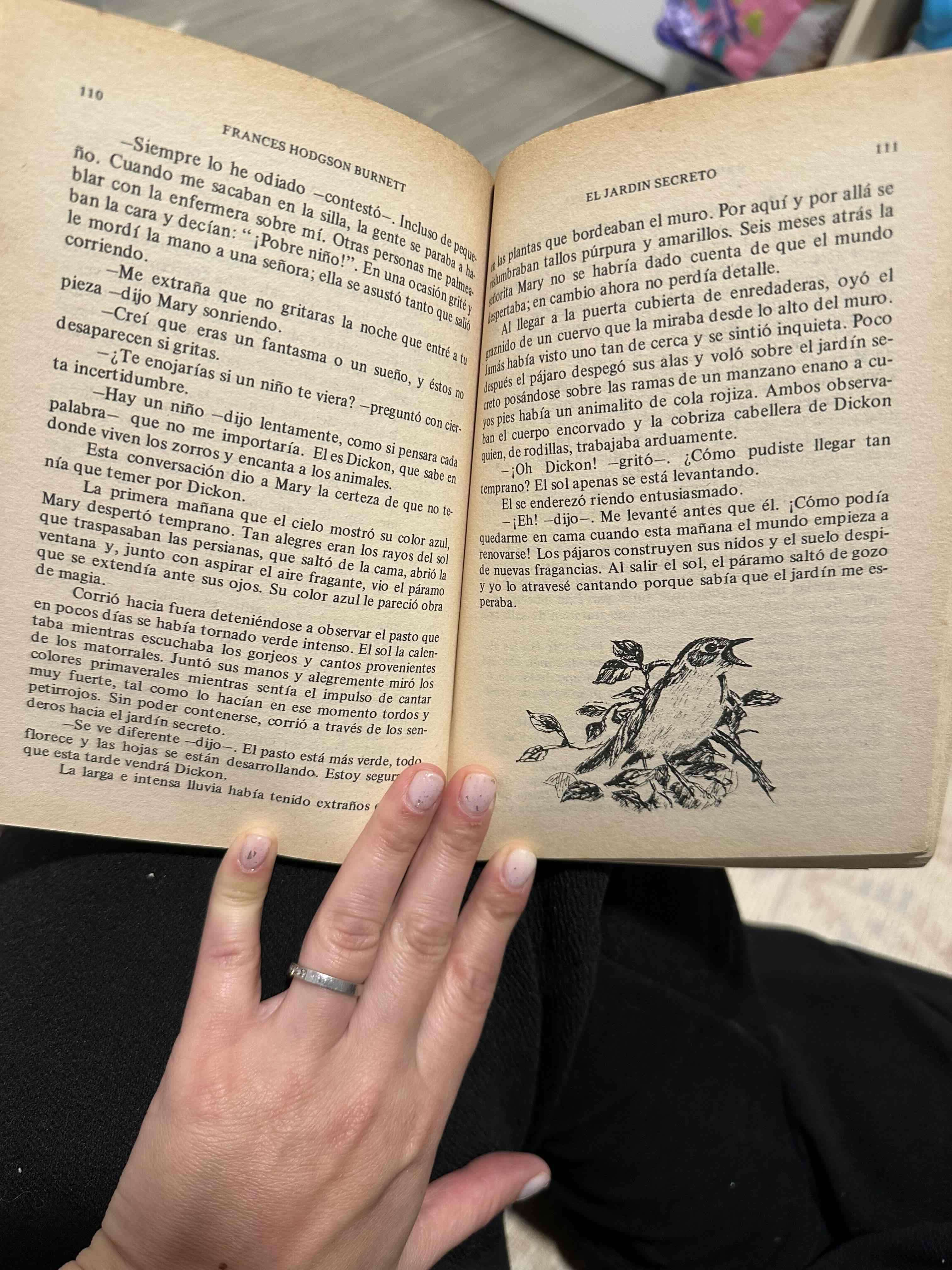 Libros 'El jardín secreto' y 'Princesita' - miniatura 2