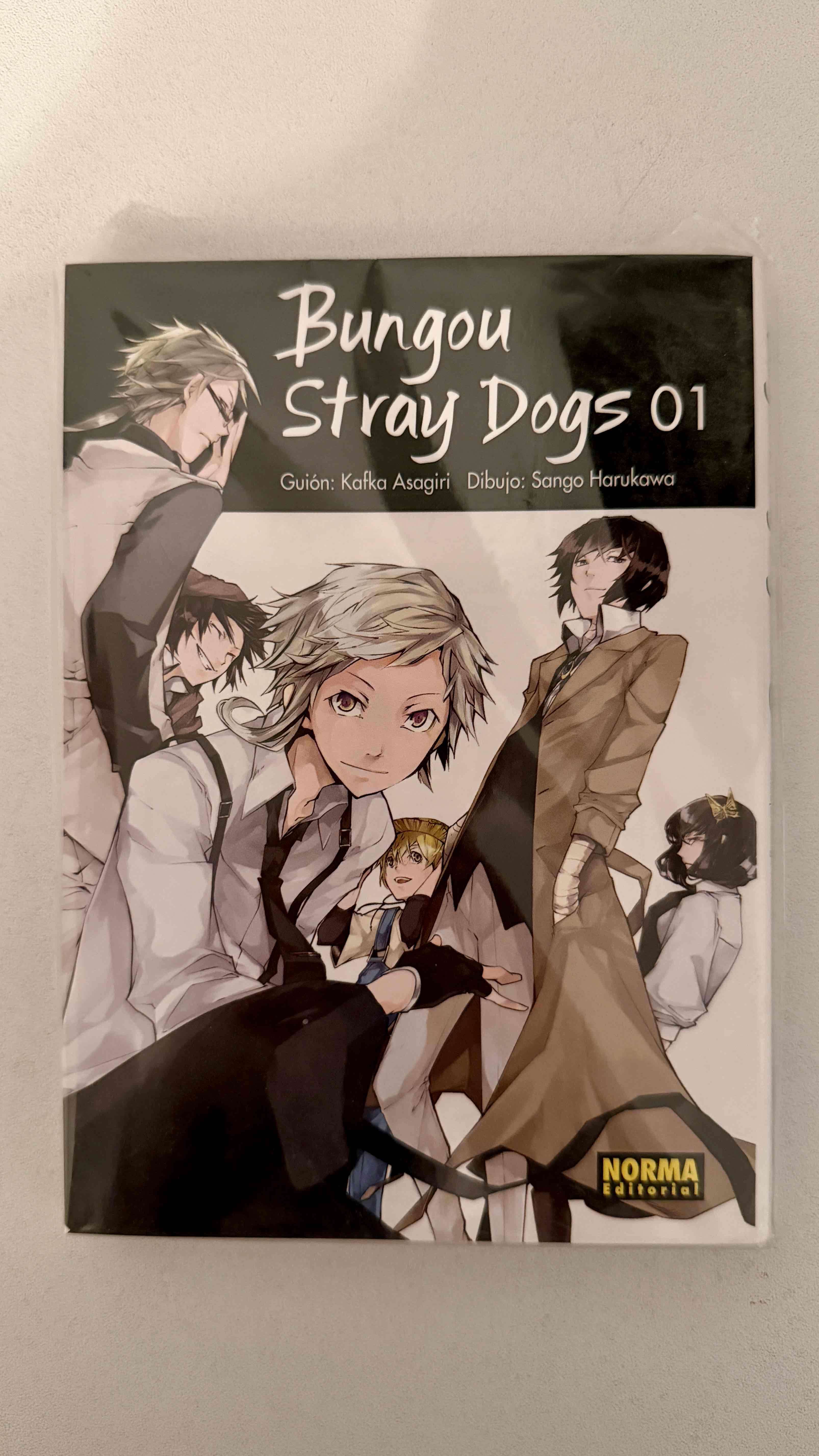 Manga “Bungou Stray Dogs” 01 - miniatura 1