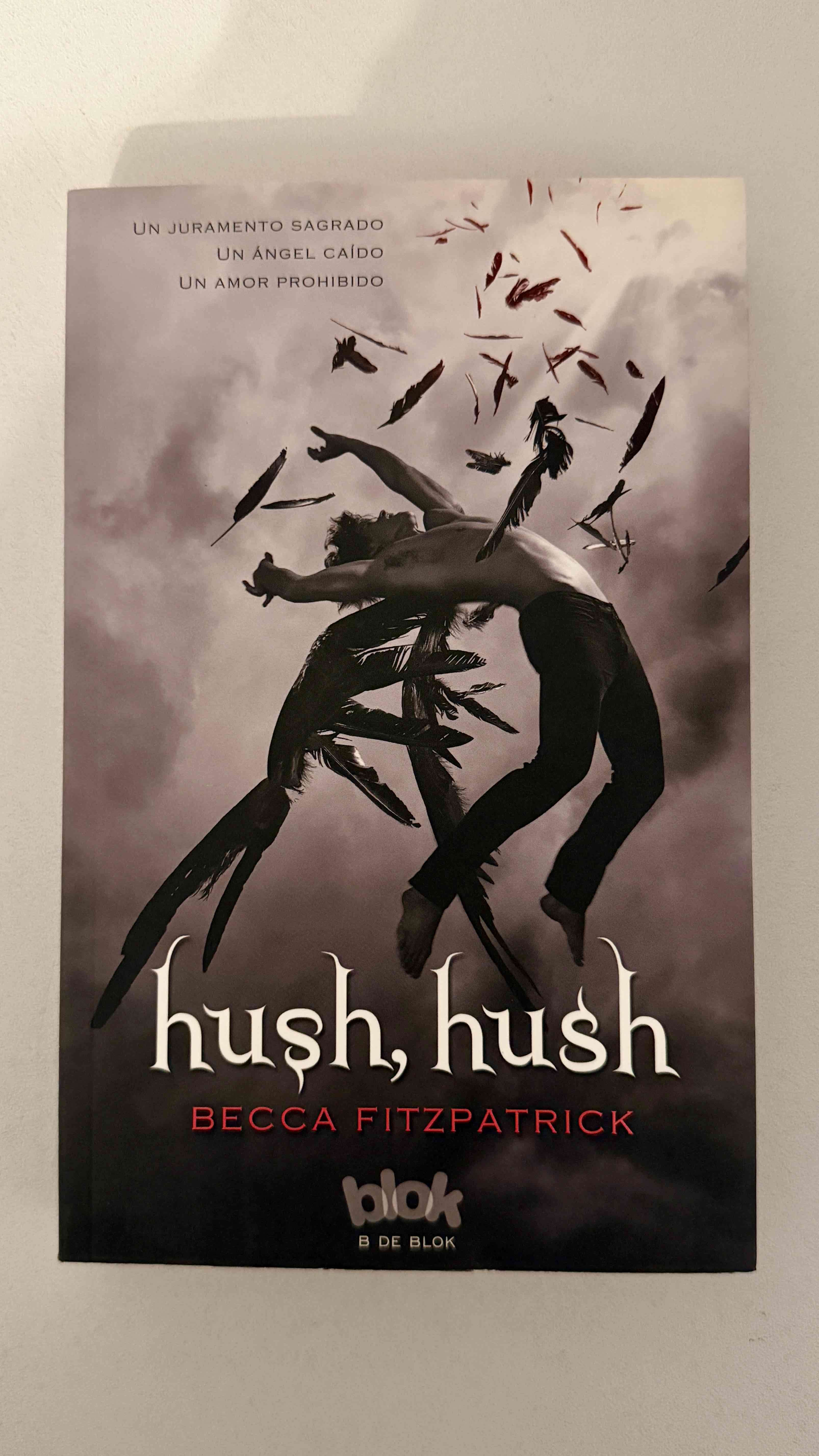 Libro “Hush, Hush” - miniatura 1