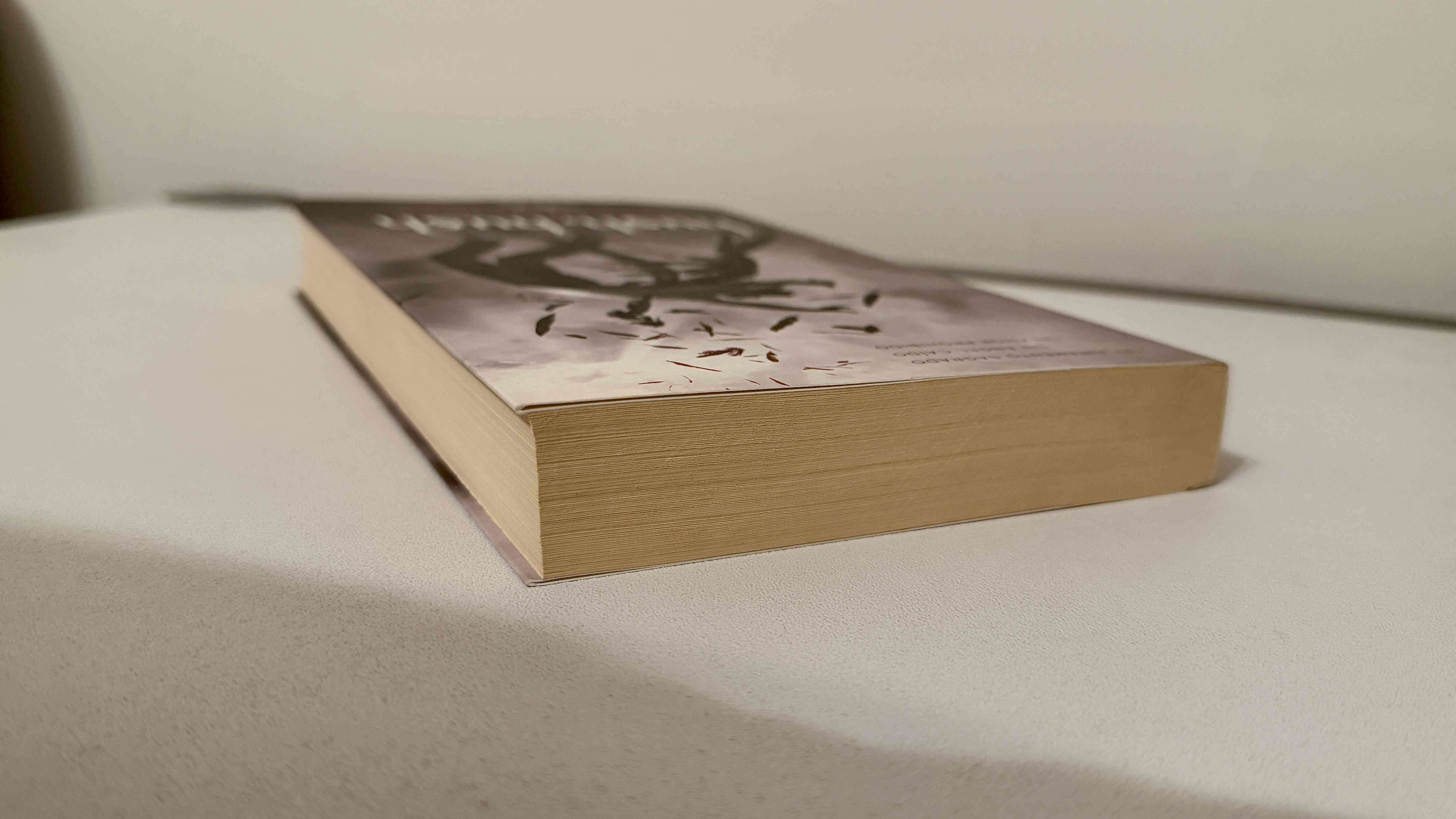 Libro “Hush, Hush” - miniatura 3