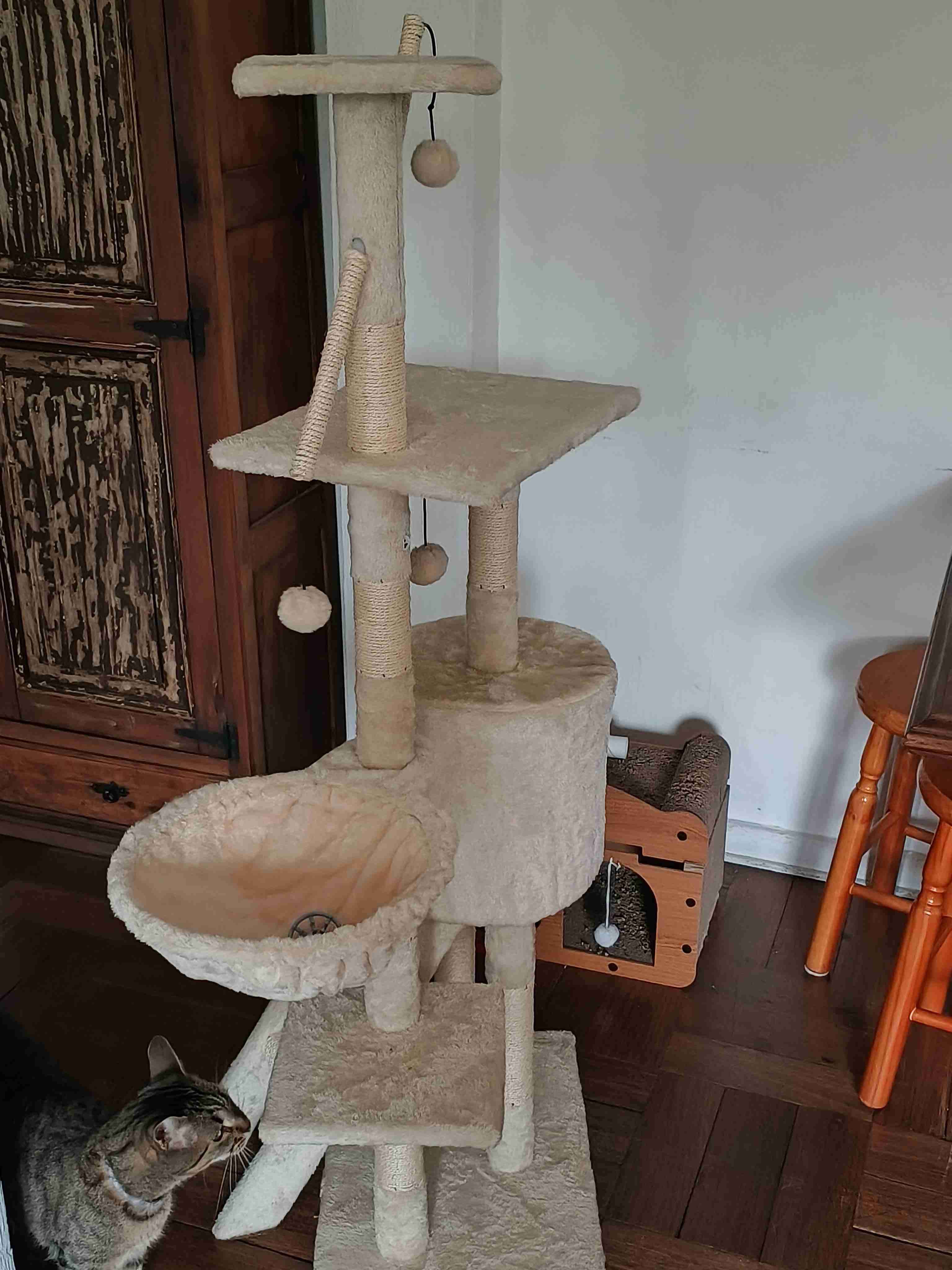 Árbol rascador para gatos beige - miniatura 2