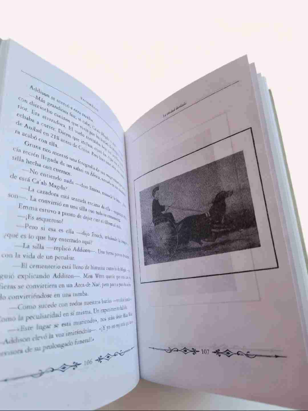 Libro La Ciudad Desolada (alternativo) - miniatura 3