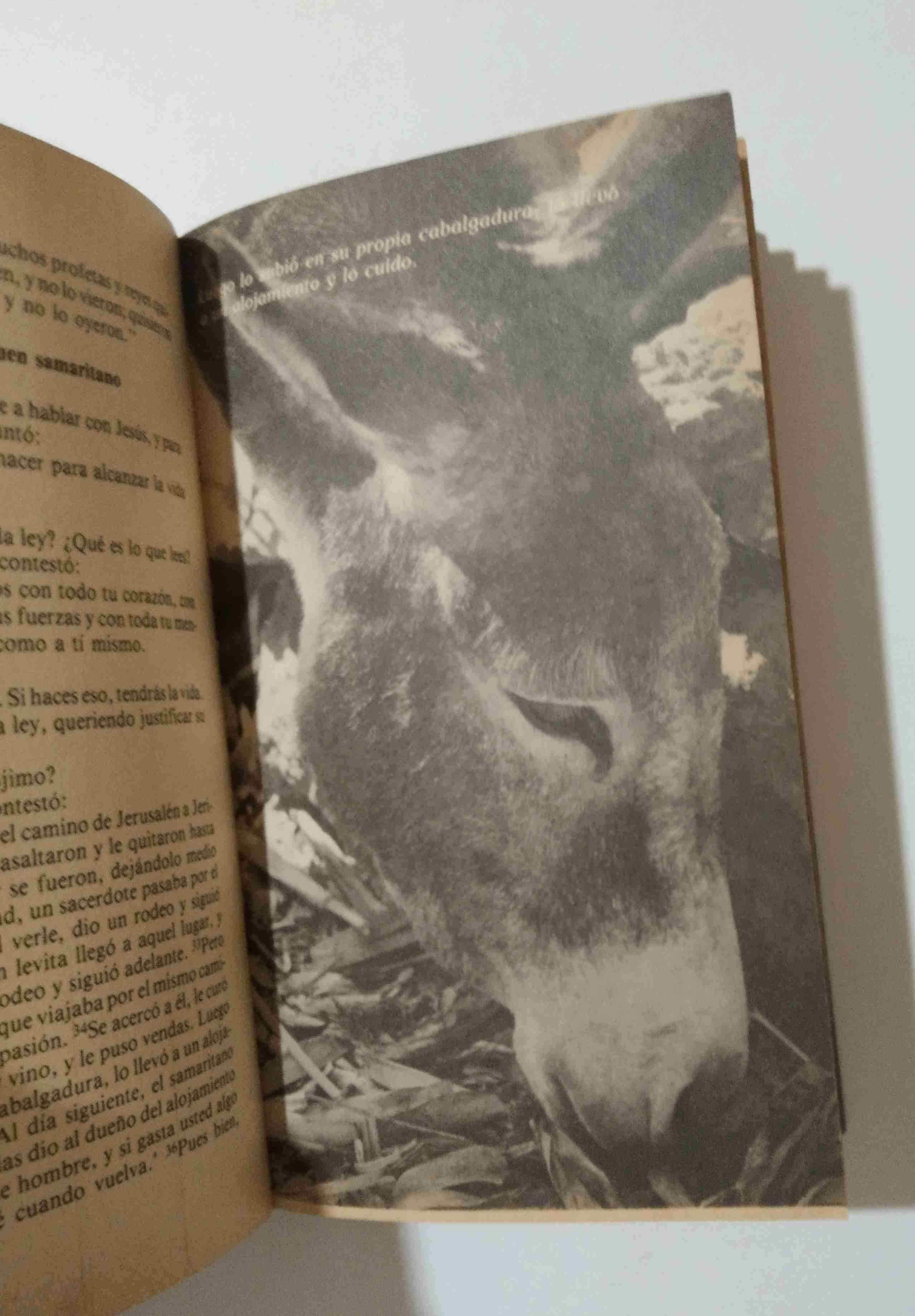 Libro San Lucas Obra Completa - miniatura 4