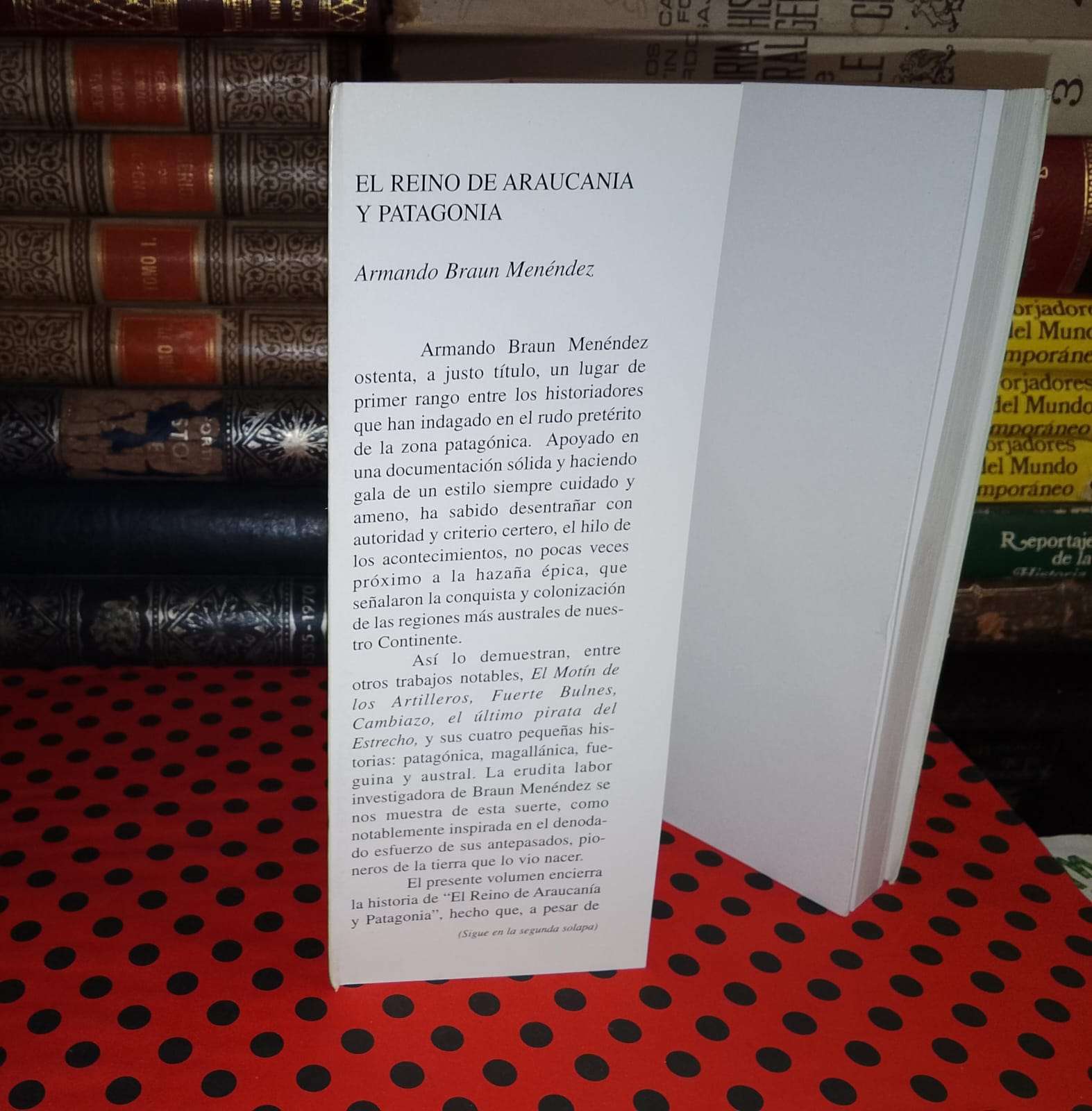 El Reino De Araucanía Y Patagonia - Armando Braun - miniatura 3
