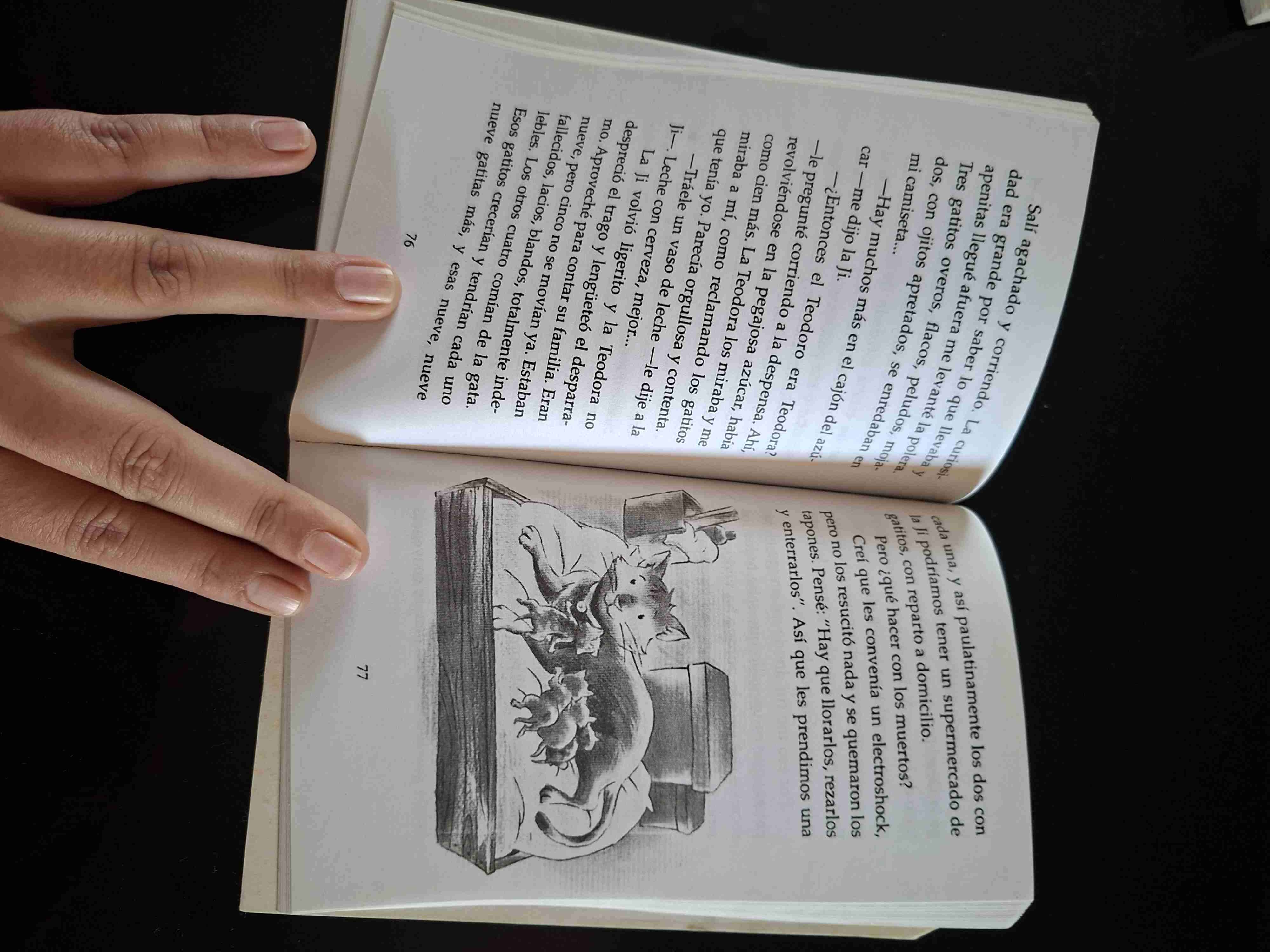 Libro Papelucho Mi Hermana Ji - miniatura 2