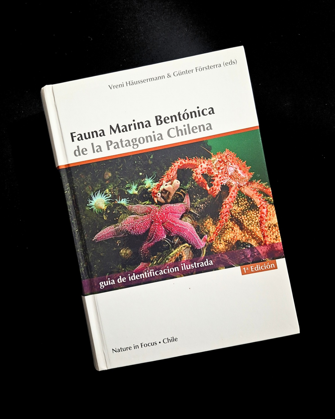 Libro Fauna Marina Bentónica
