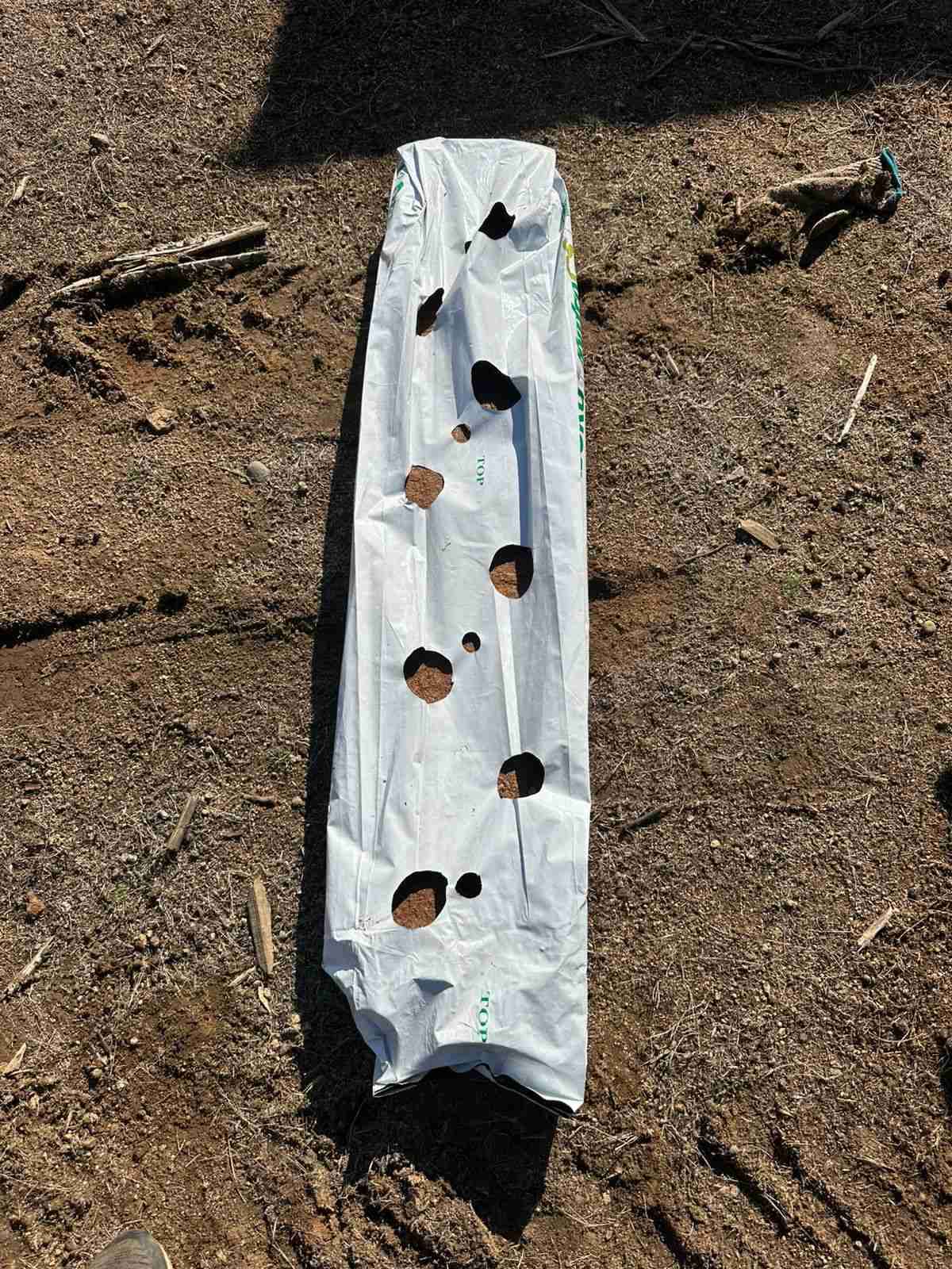 Rollo de fibra de coco para jardinería - miniatura 3