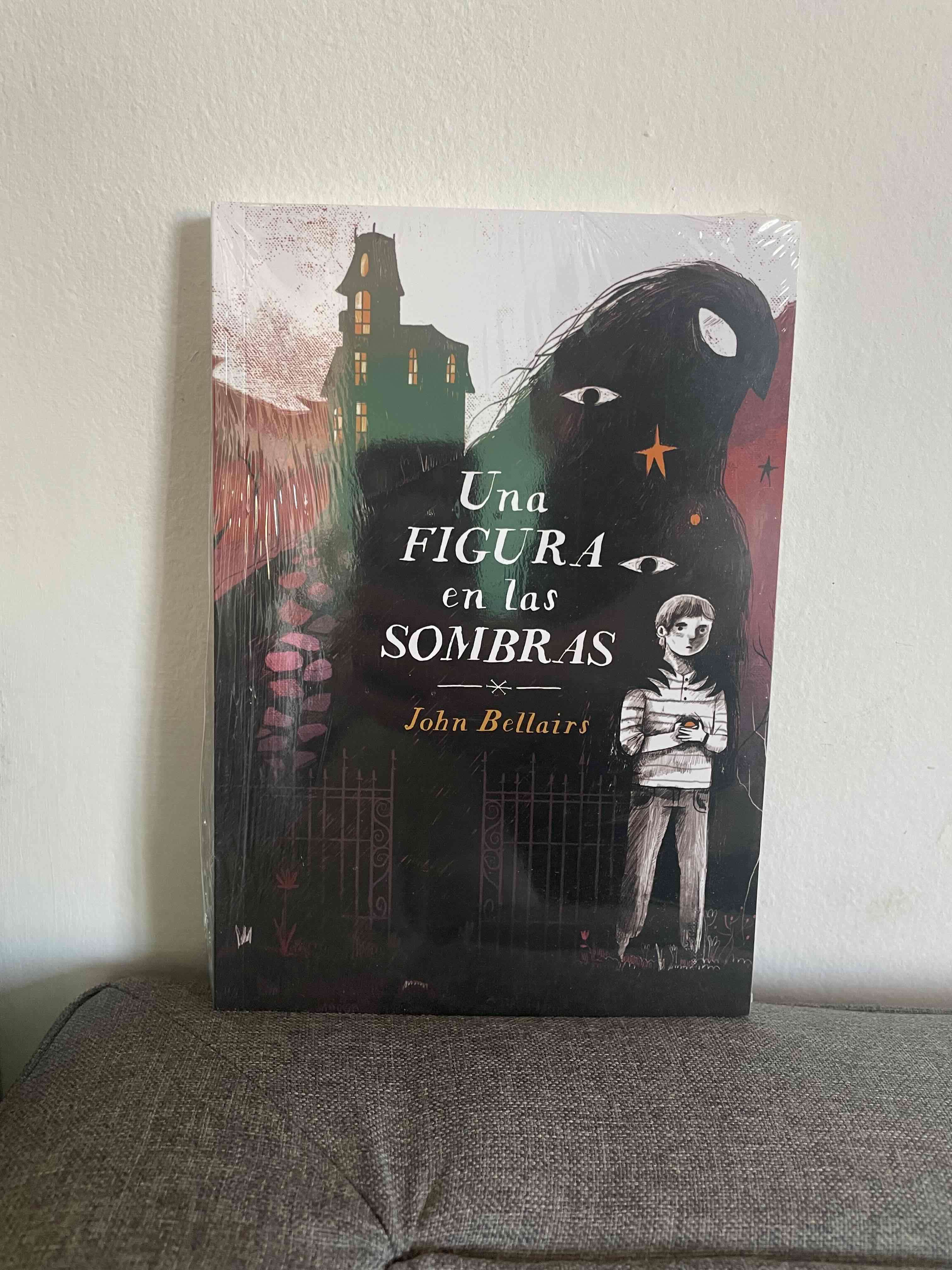 Libro 'Una figura en las sombras'
