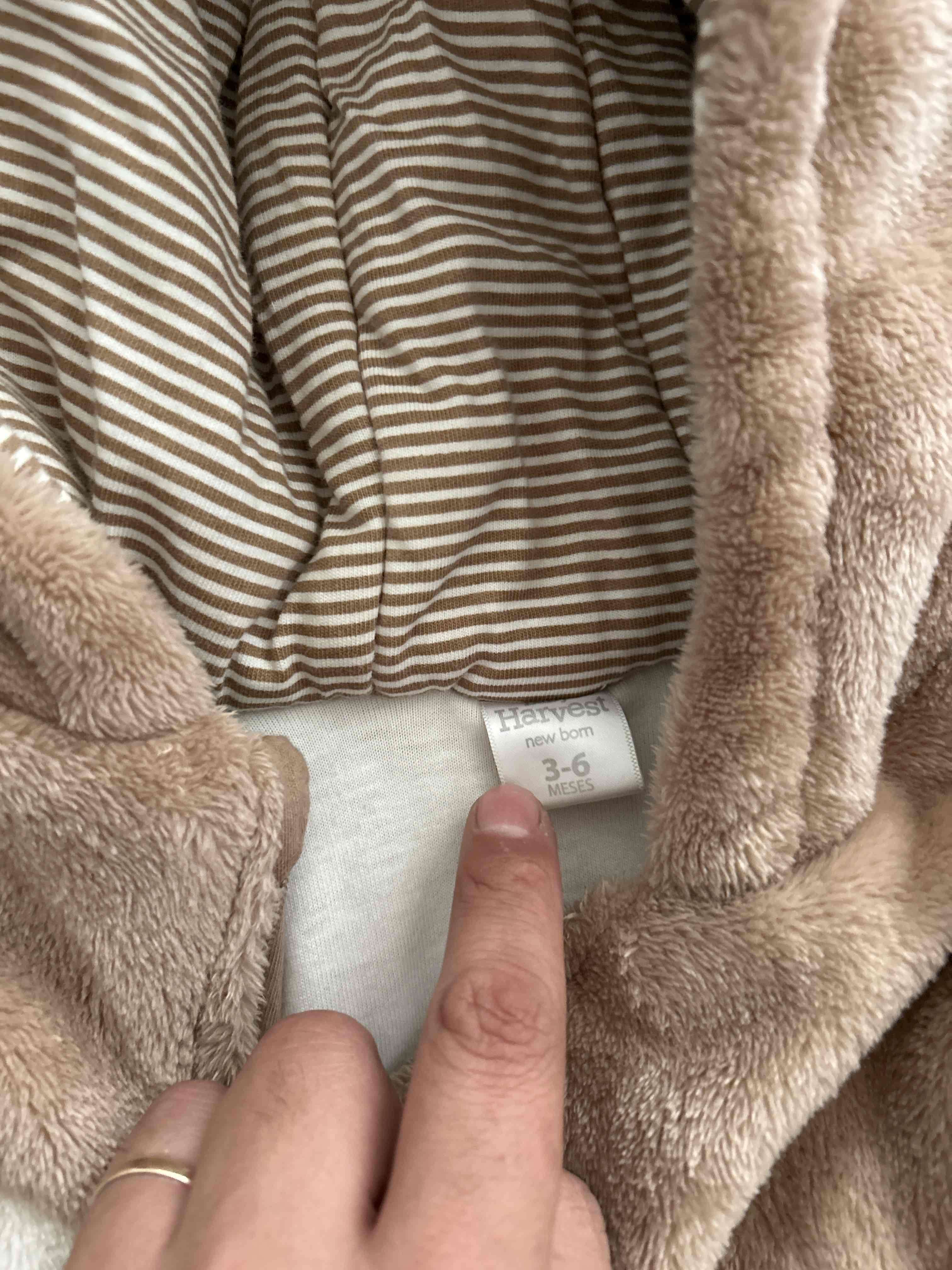 Enterito polar bebé animalito - miniatura 3