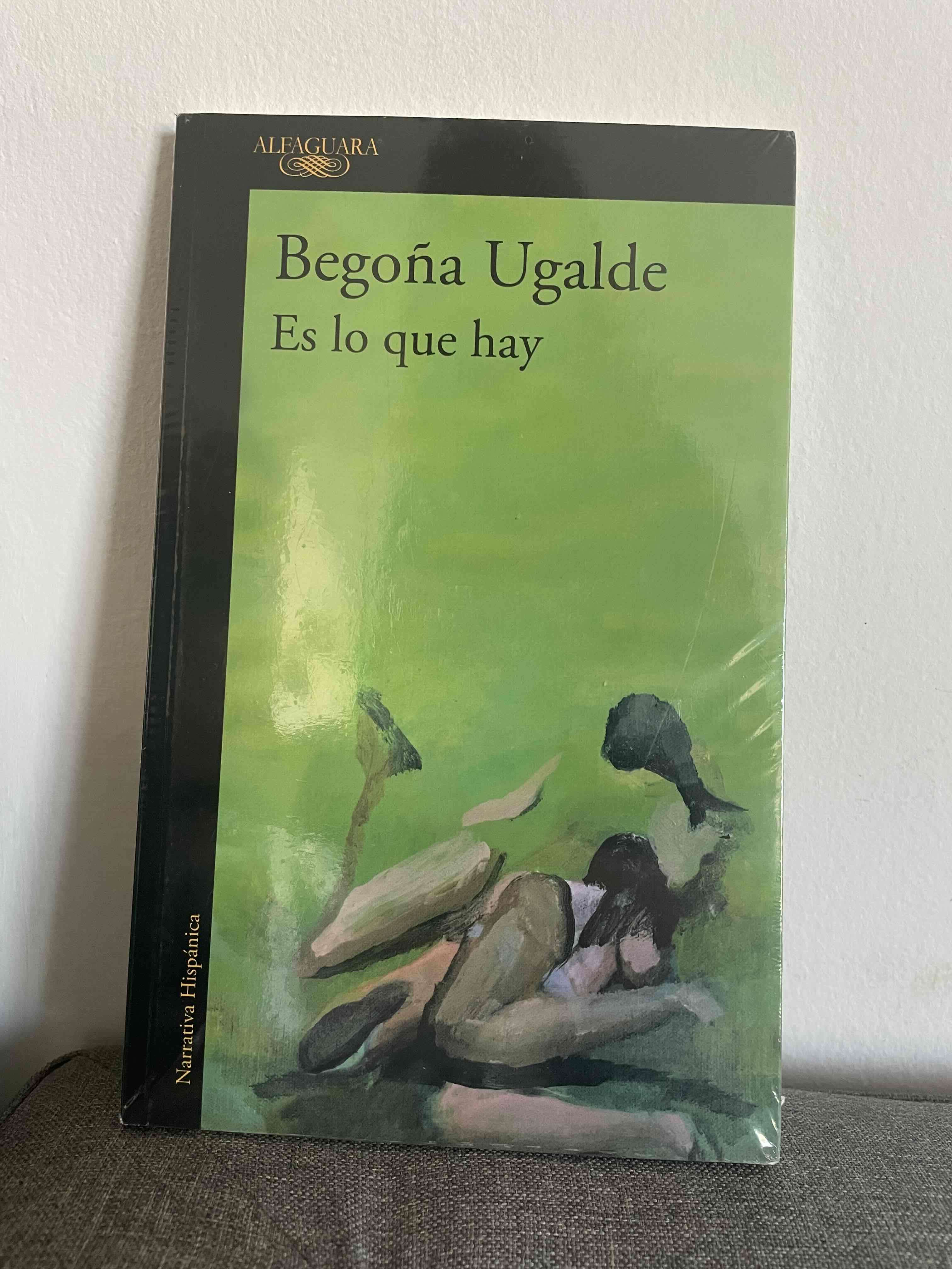 Libro 'Es lo que hay' de Begoña Ugalde