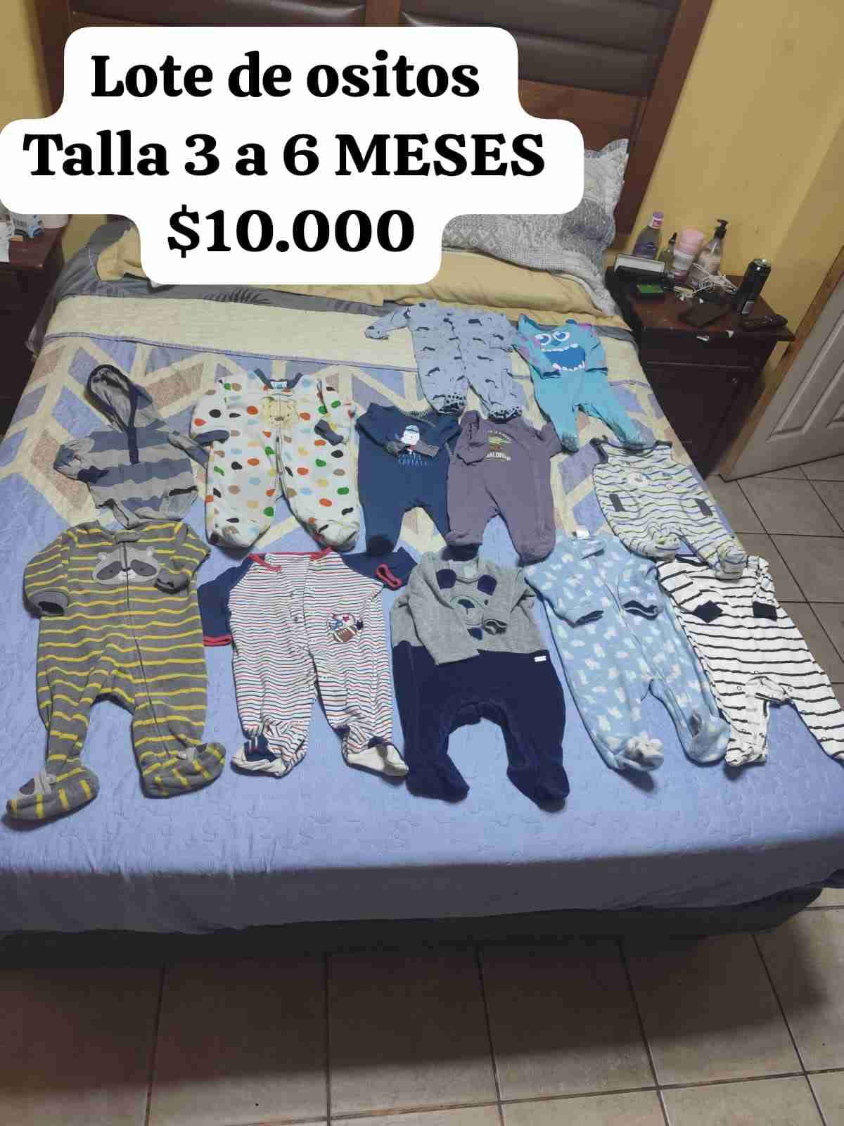Lote de ositos talla 3-6 meses