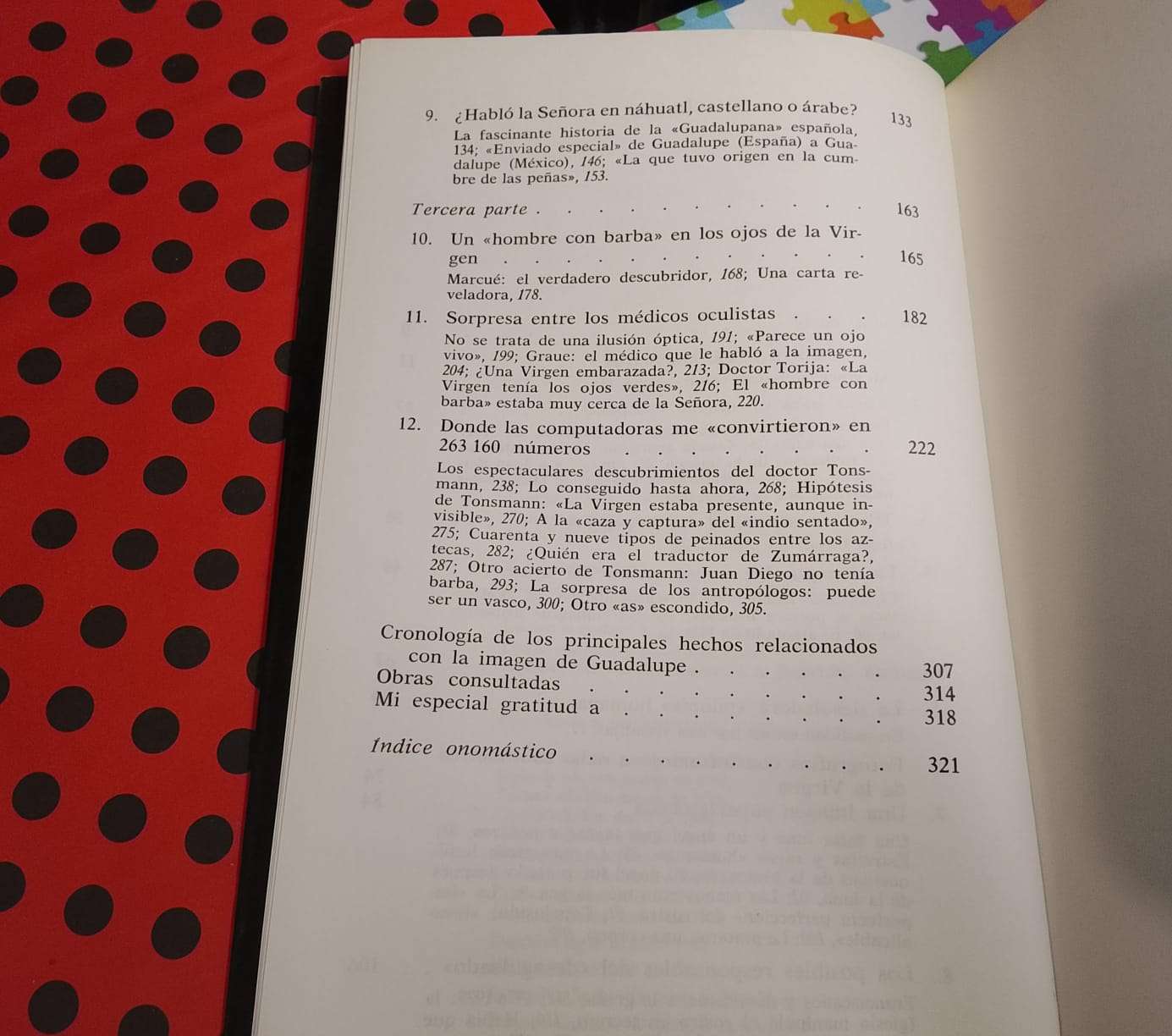 El Misterio De La Virgen De Guadalupe - miniatura 4