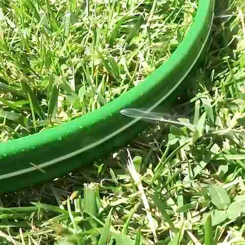 Manguera Sprinkler Rayün 15M - miniatura 3