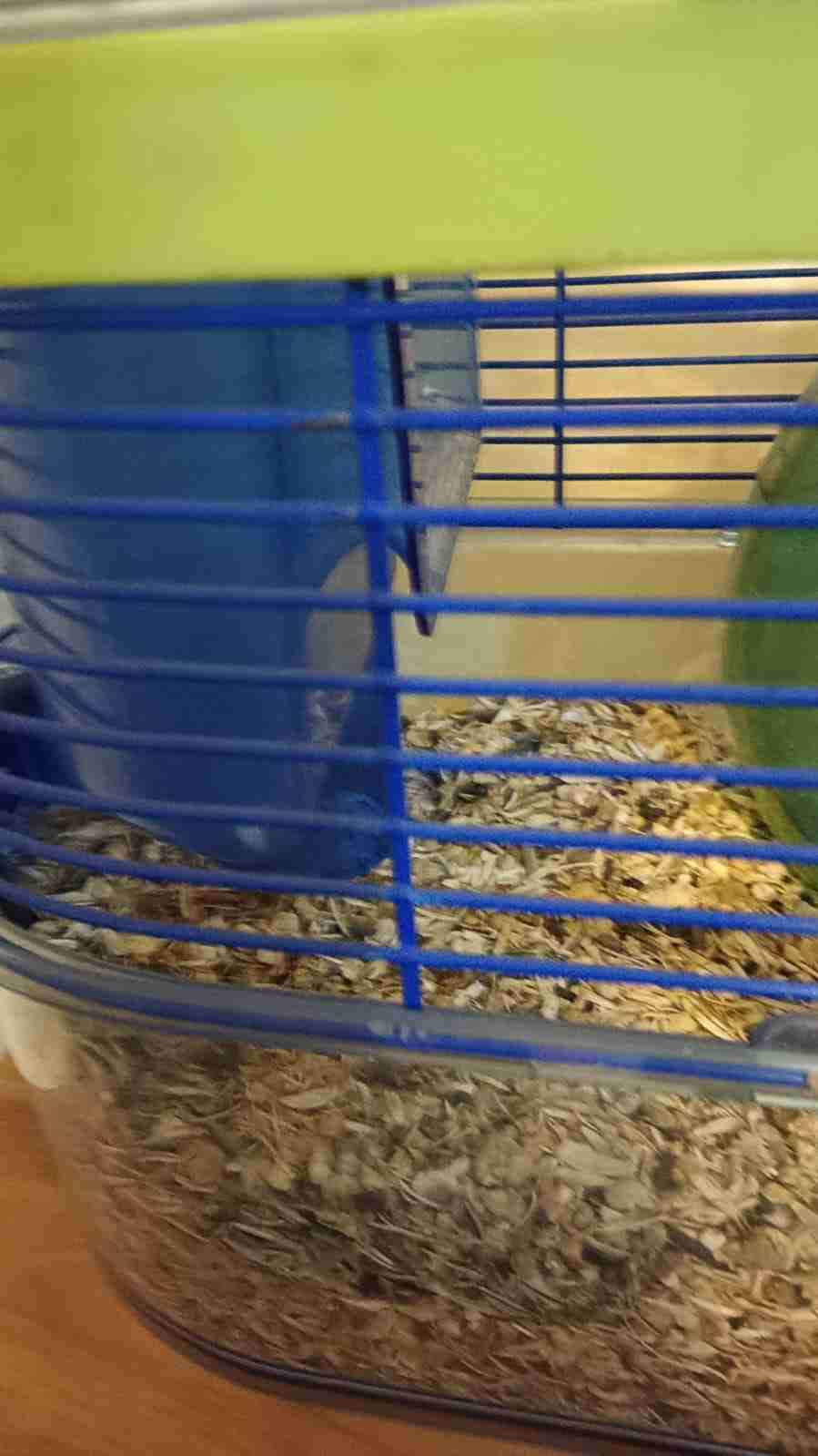 Jaula para pequeño roedor - miniatura 1