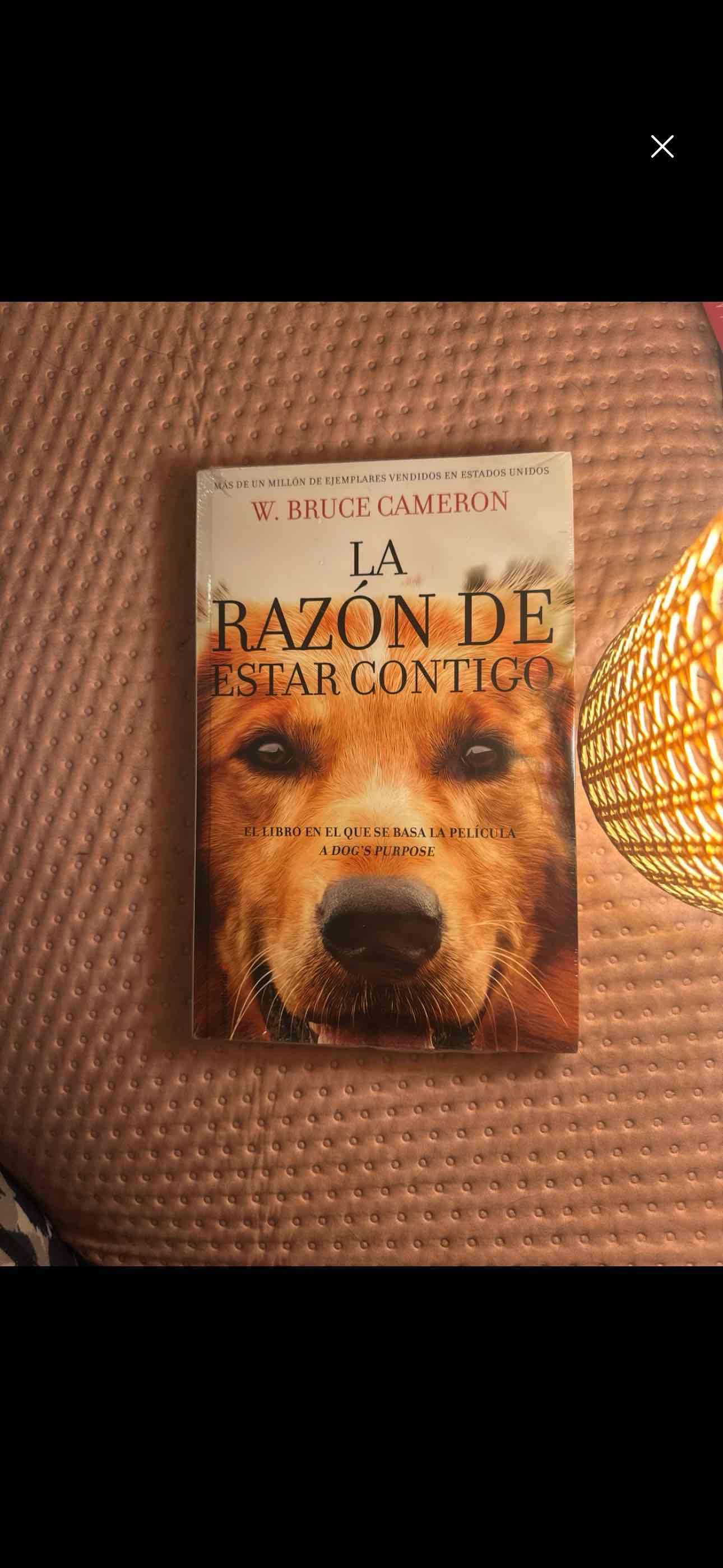 Libro La Razón de Estar Contigo - miniatura 1