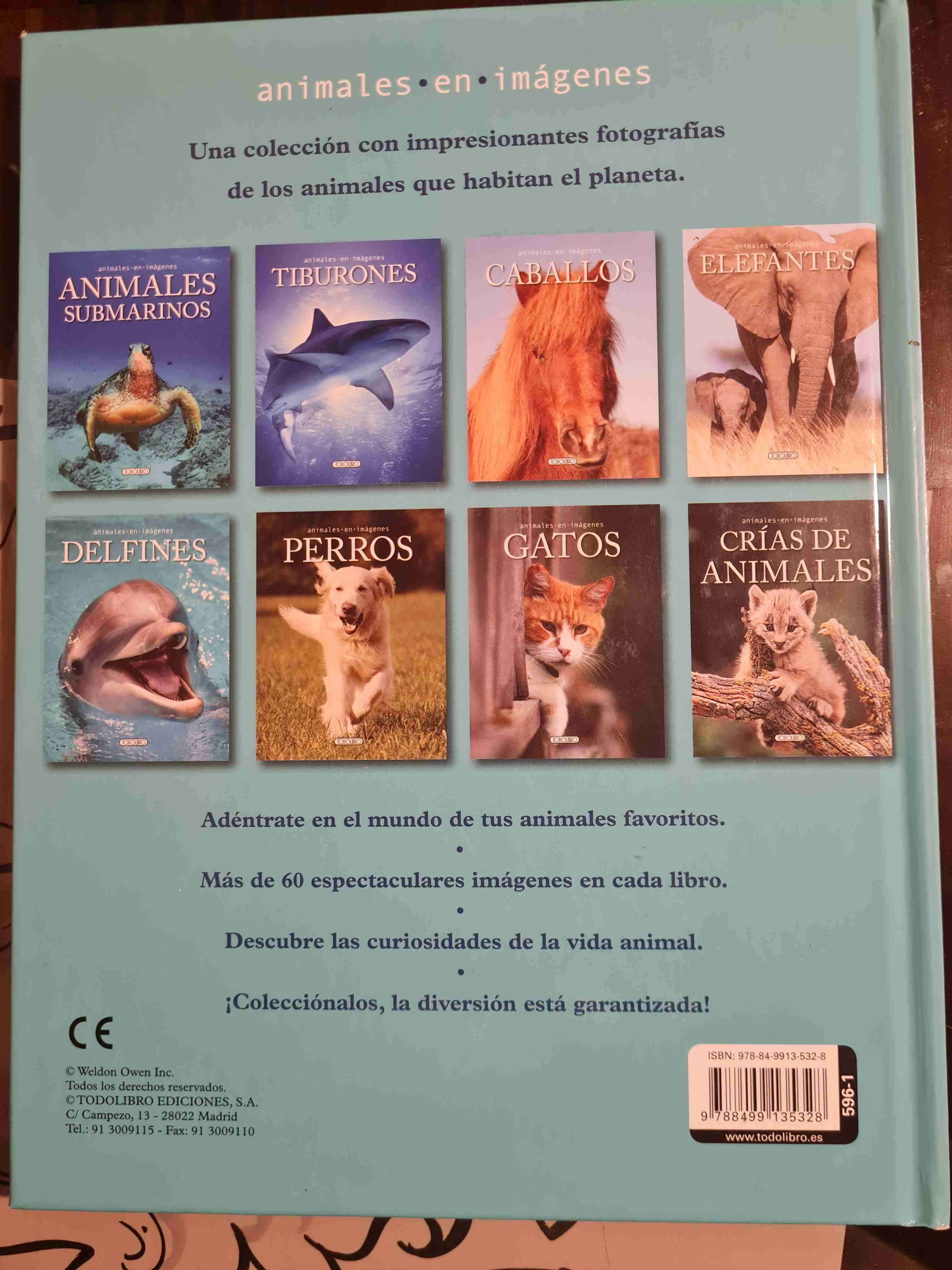 Libro Animales Submarinos - miniatura 2