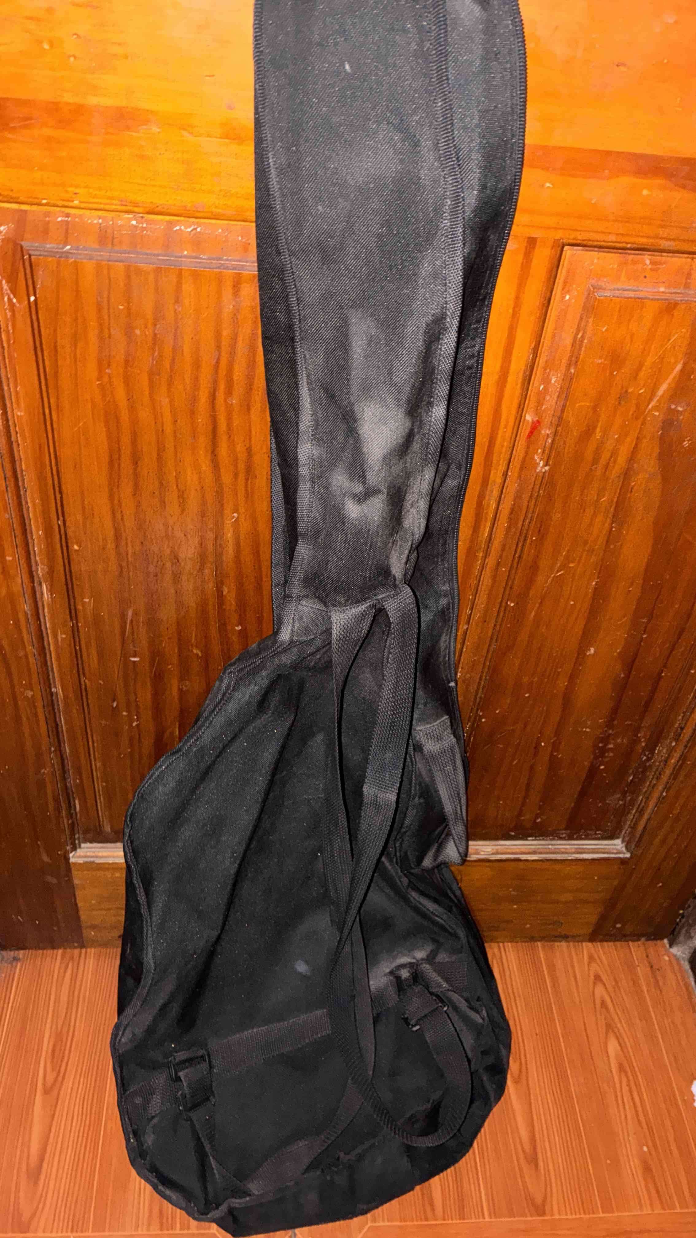 Guitarra eléctrica Freeman Stratocaster - miniatura 6