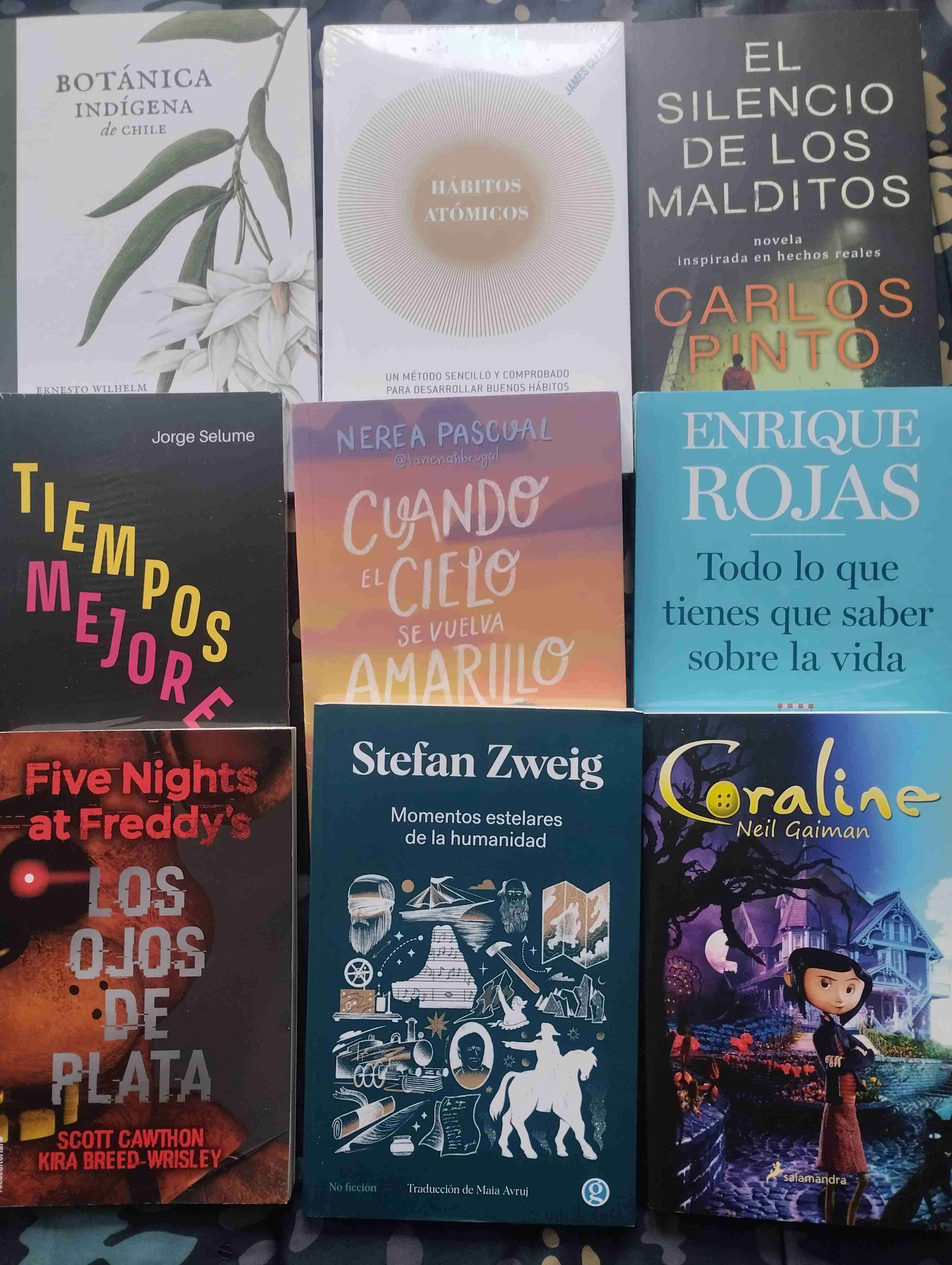 Lote de 9 libros variados - miniatura 3