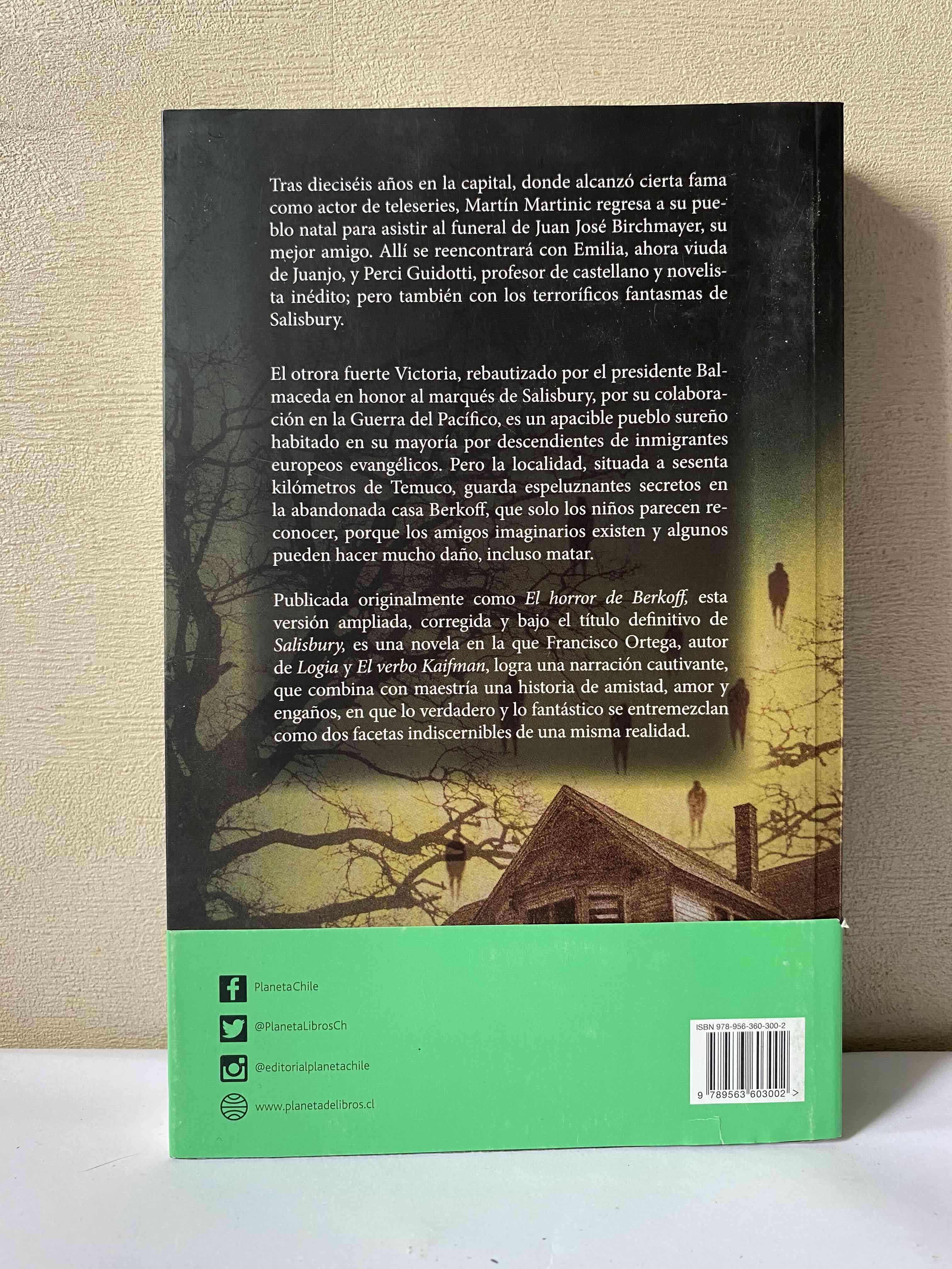 Libro 'Salisbury' - miniatura 2