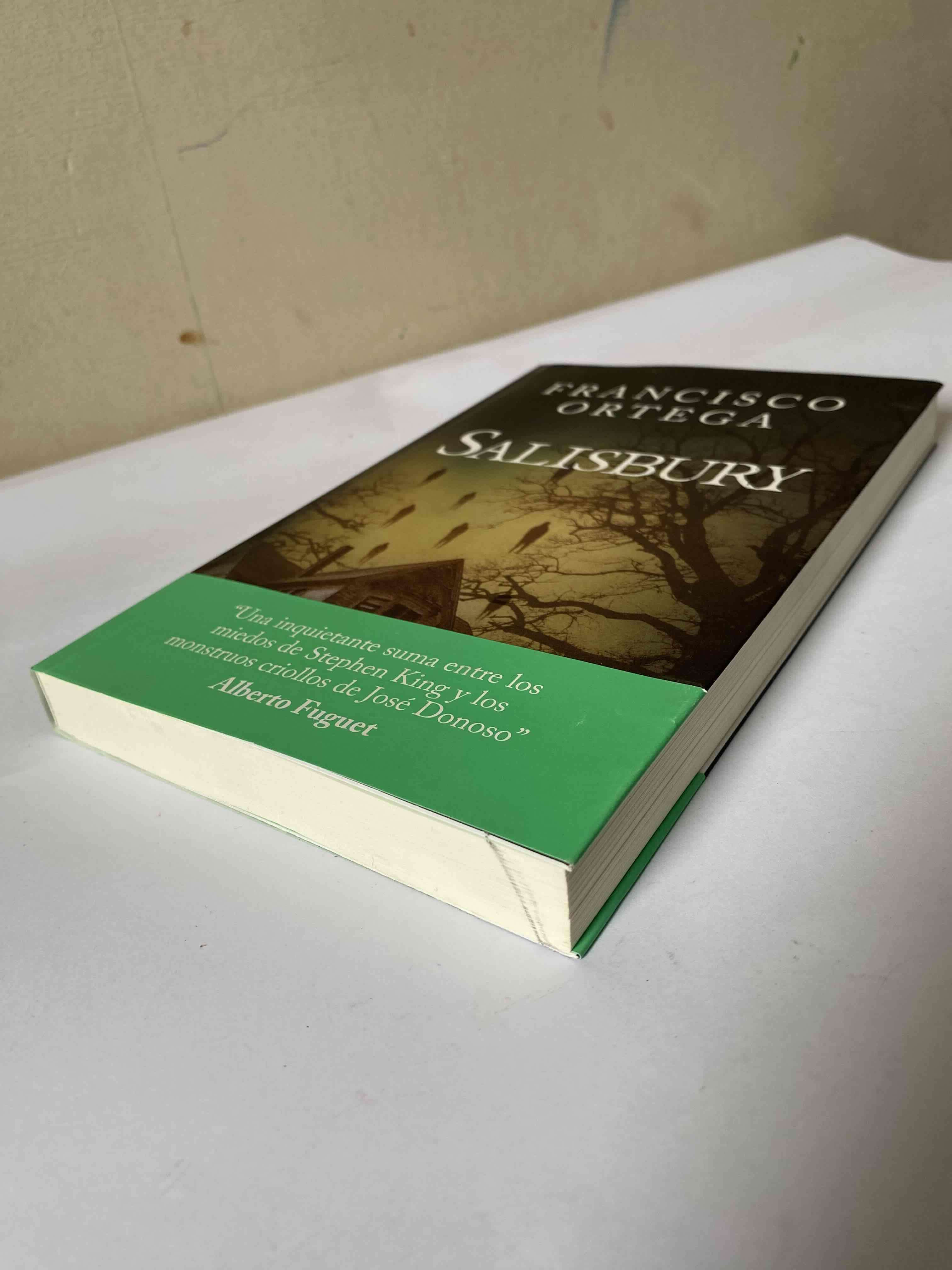 Libro 'Salisbury' - miniatura 4