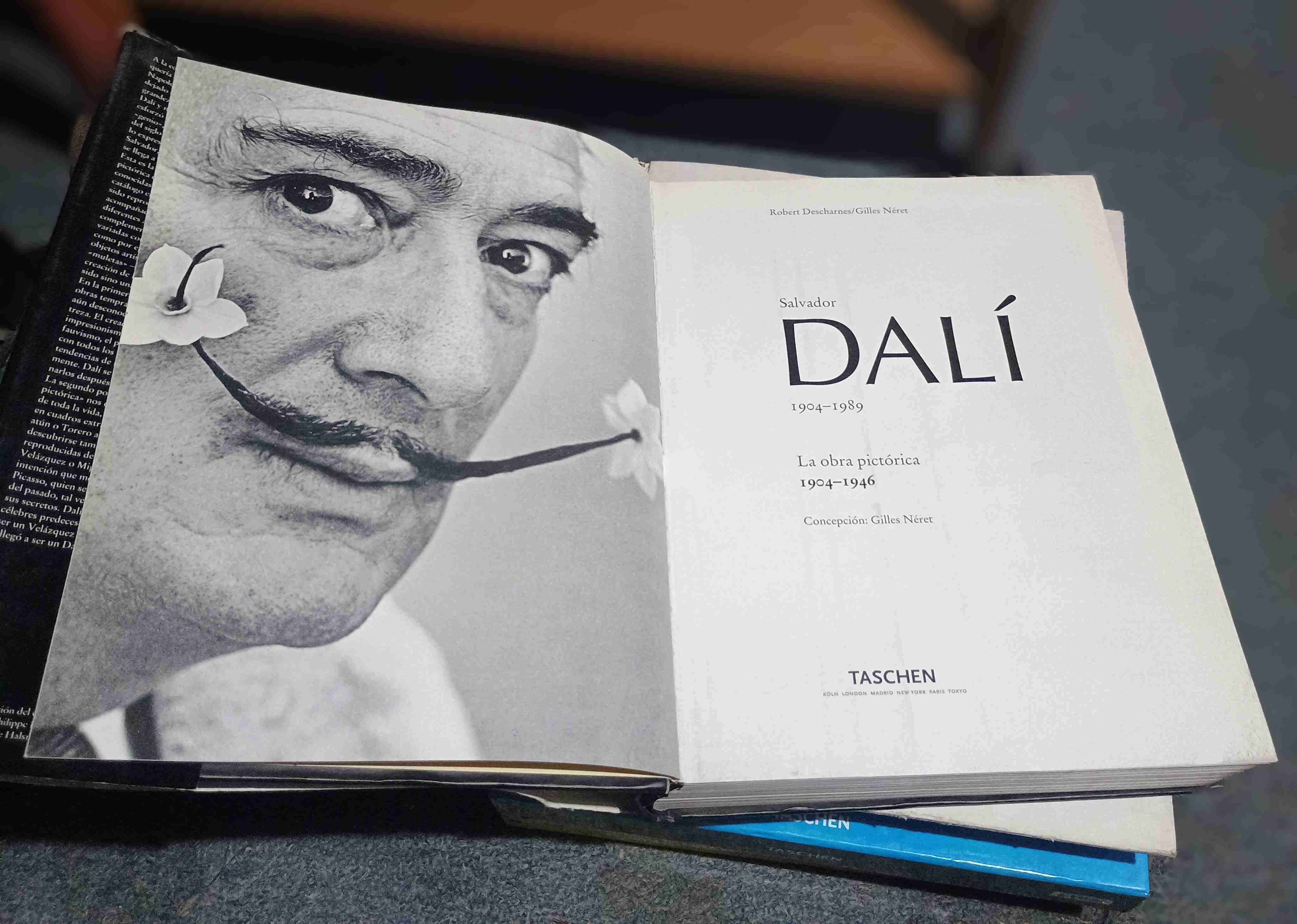 Dalí - miniatura 2