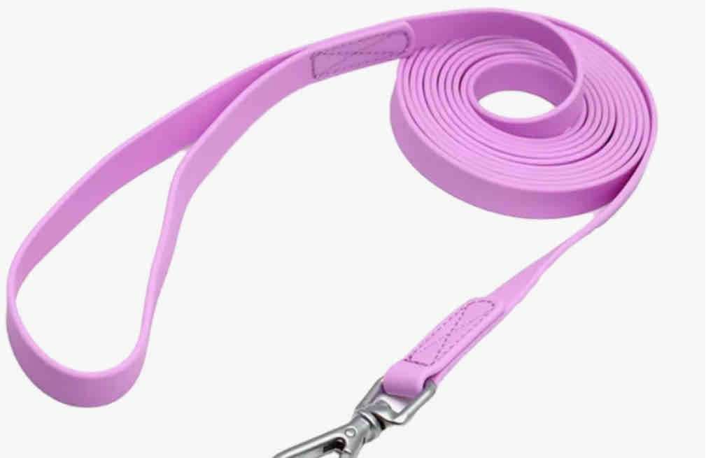 Correa para perro 3, 5 y 10 metros - miniatura 1