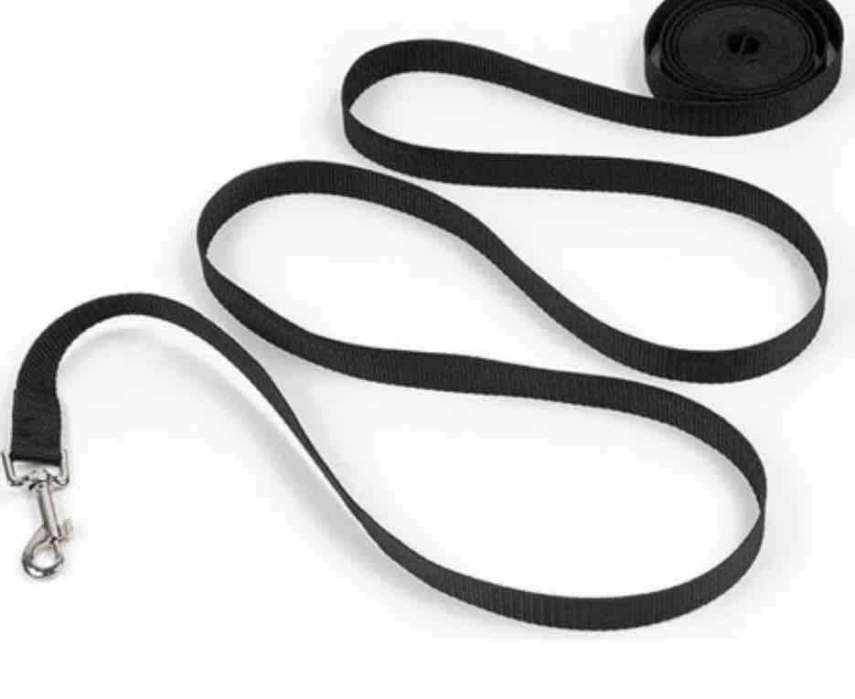 Correa para perro 3, 5 y 10 metros - miniatura 4