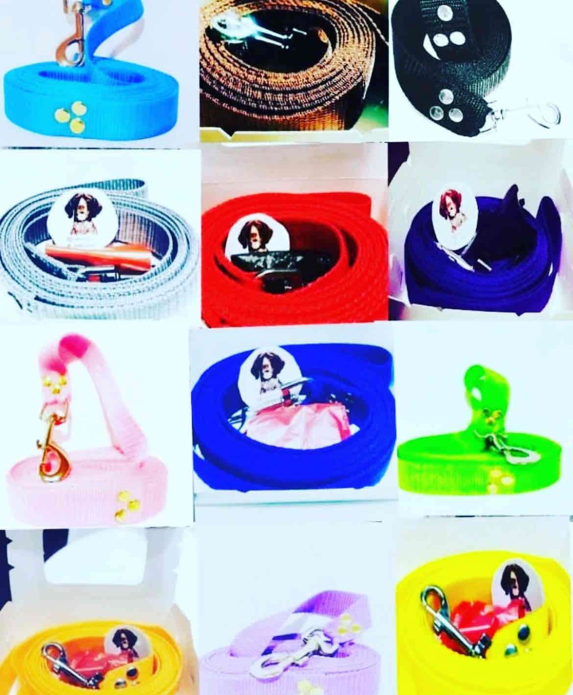 Correa para perro 3, 5 y 10 metros - miniatura 5