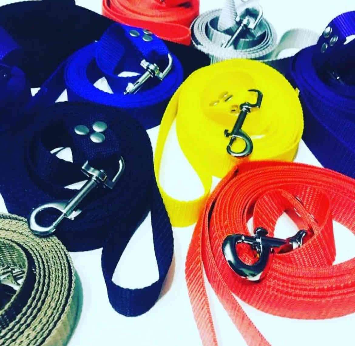 Correa para perro 3, 5 y 10 metros - miniatura 6