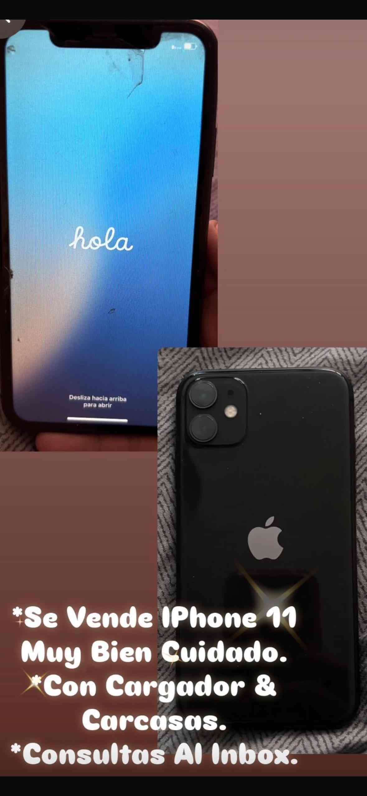 iPhone 11 con cargador y carcasas
