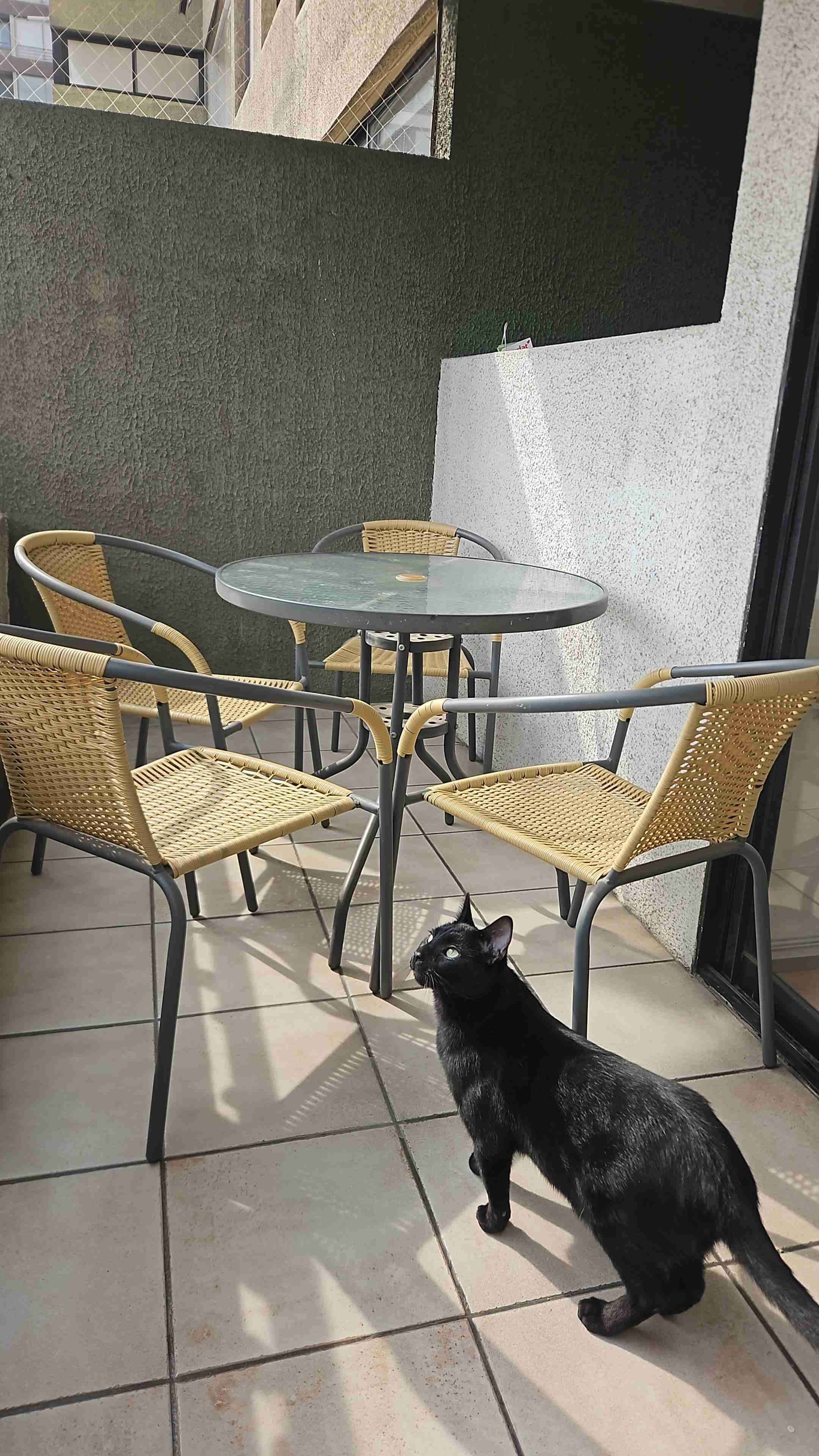 Set de muebles de terraza