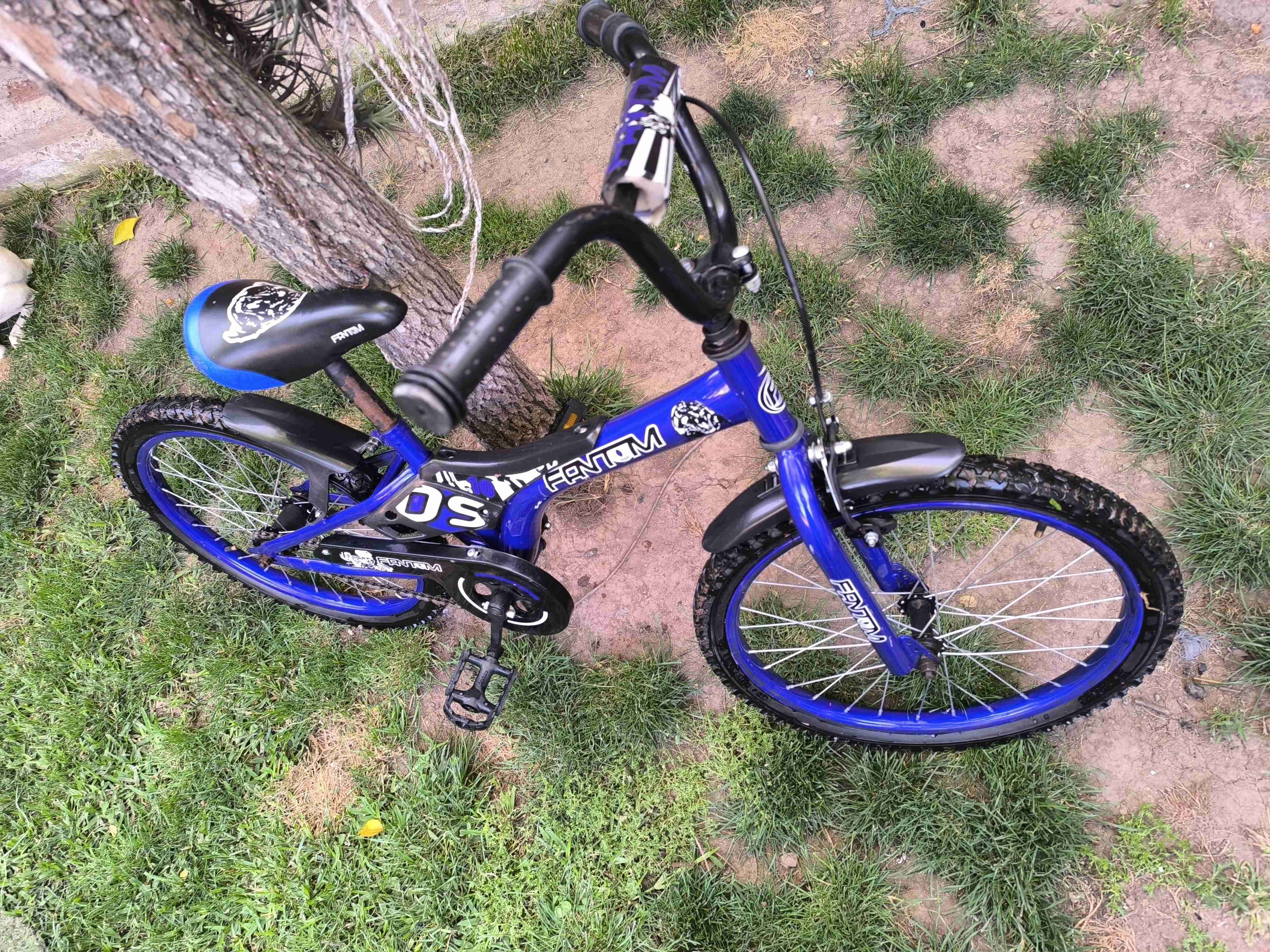Bicicleta infantil azul Fantom - miniatura 2