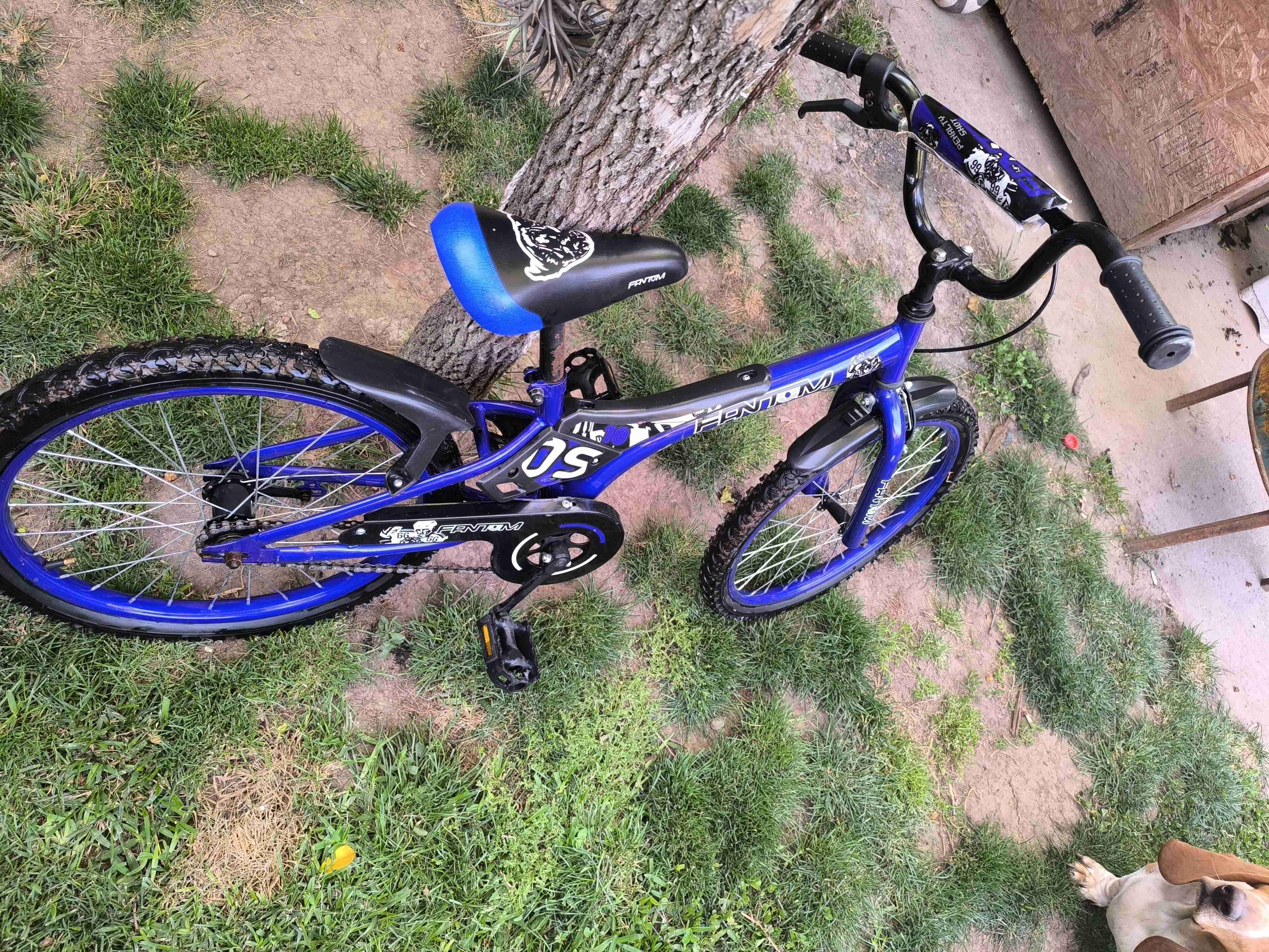 Bicicleta infantil azul Fantom - miniatura 3