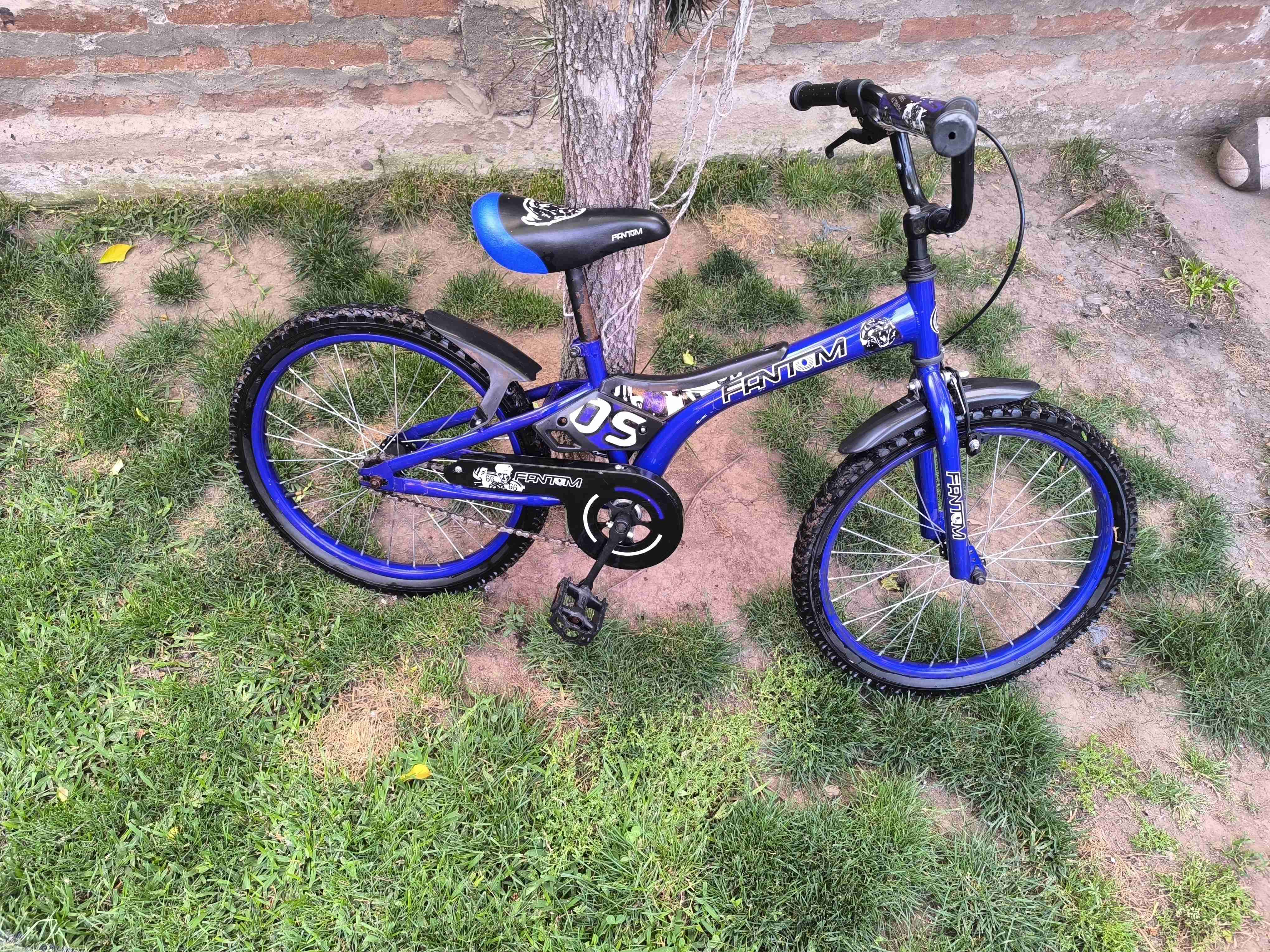 Bicicleta infantil azul Fantom - miniatura 4