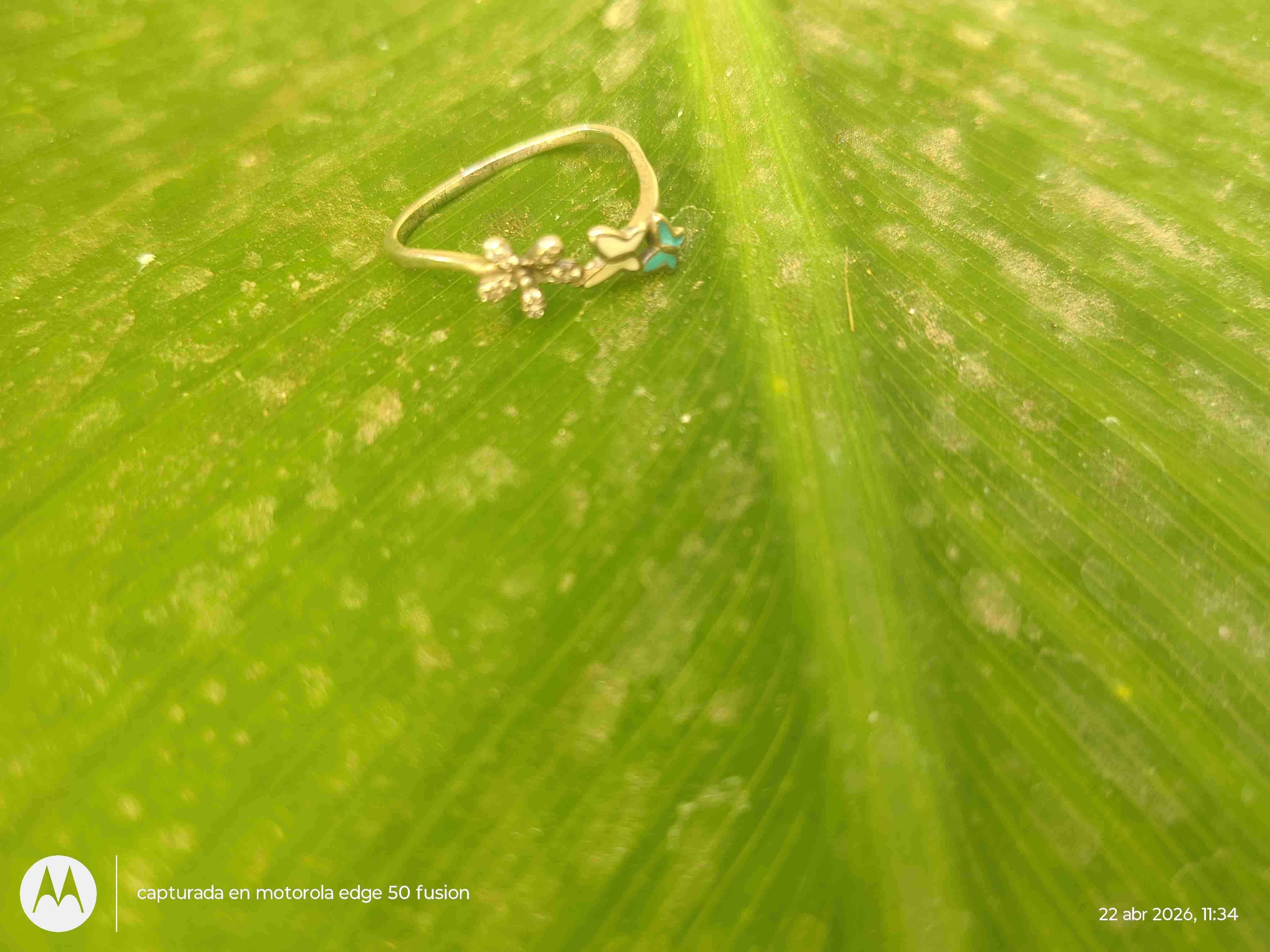 Anillo plateado con brillantes - miniatura 5