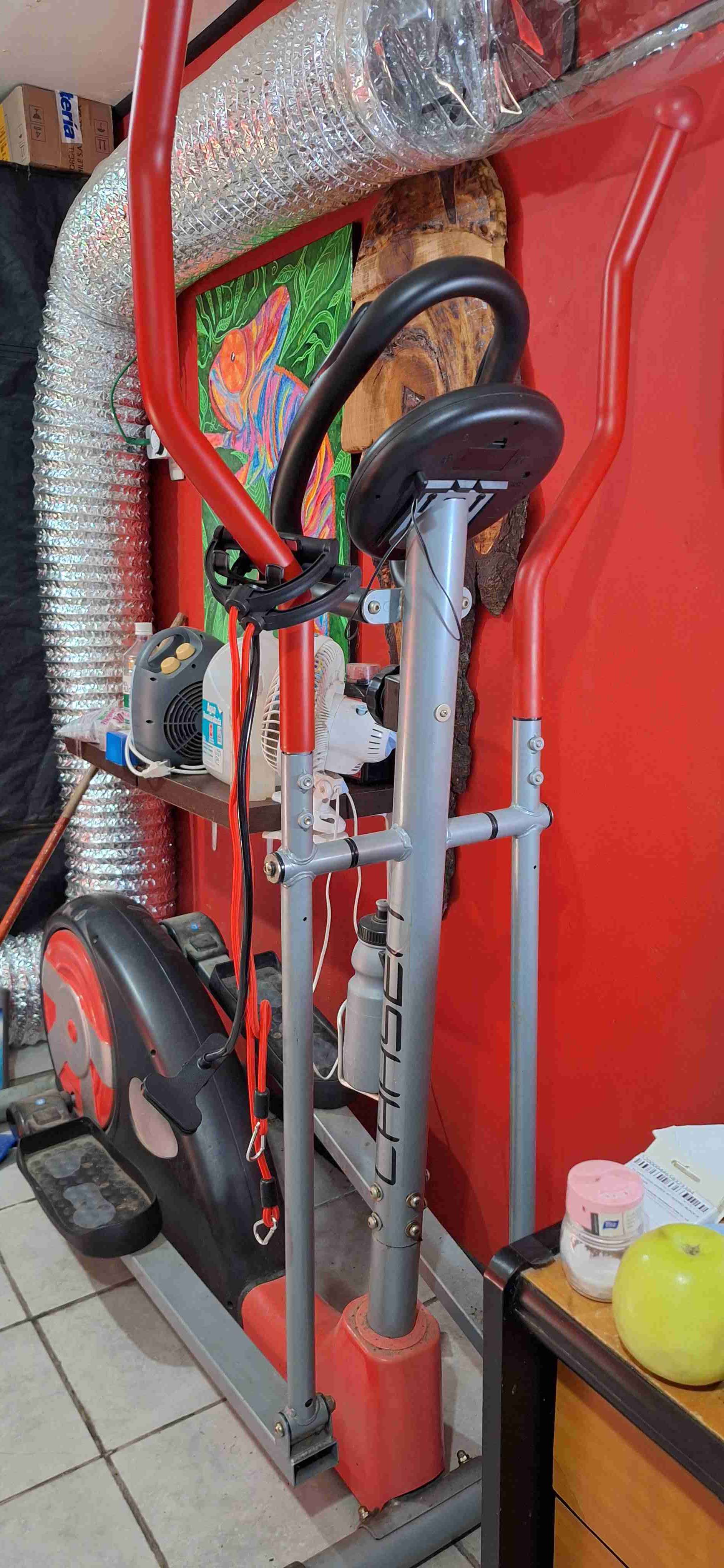 Elíptica roja y gris