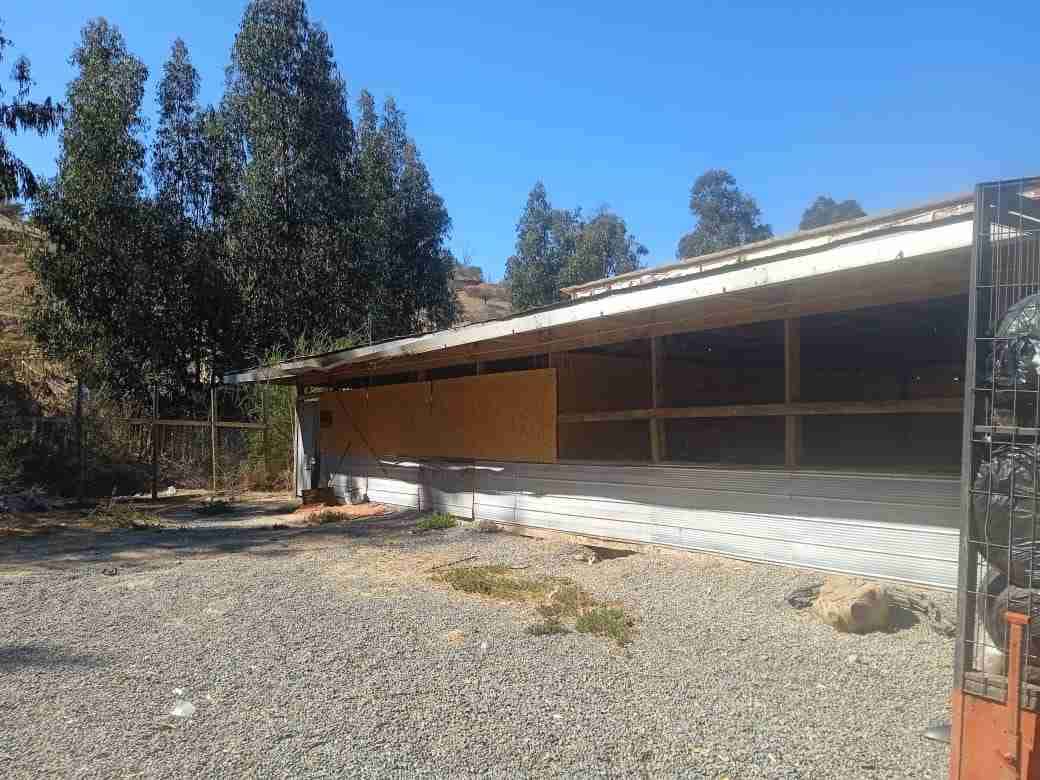 ARRIENDO DE GALPÓN Y TERRENO. - miniatura 4