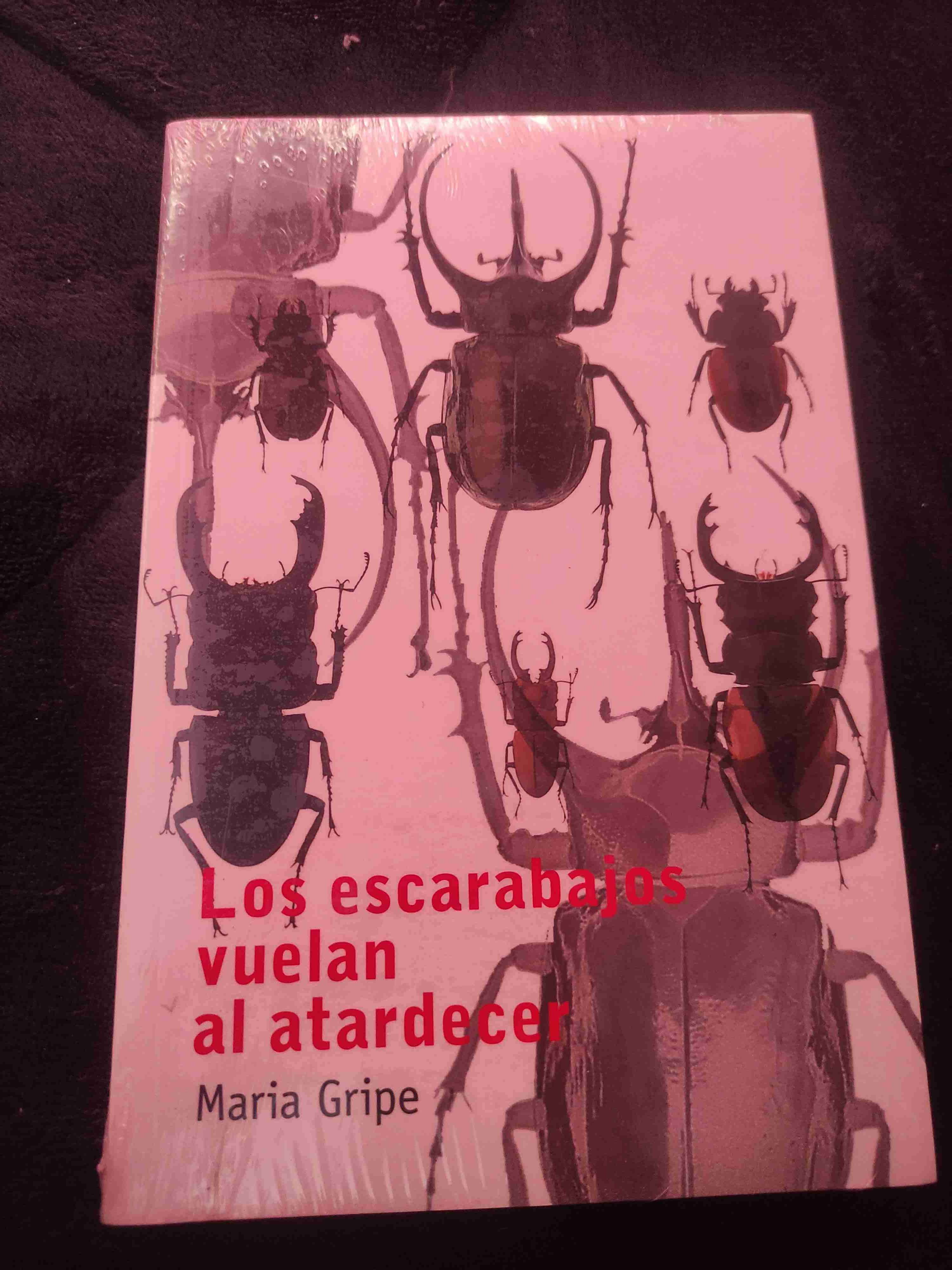 Libro 'Los escarabajos vuelan al atardecer' - miniatura 1