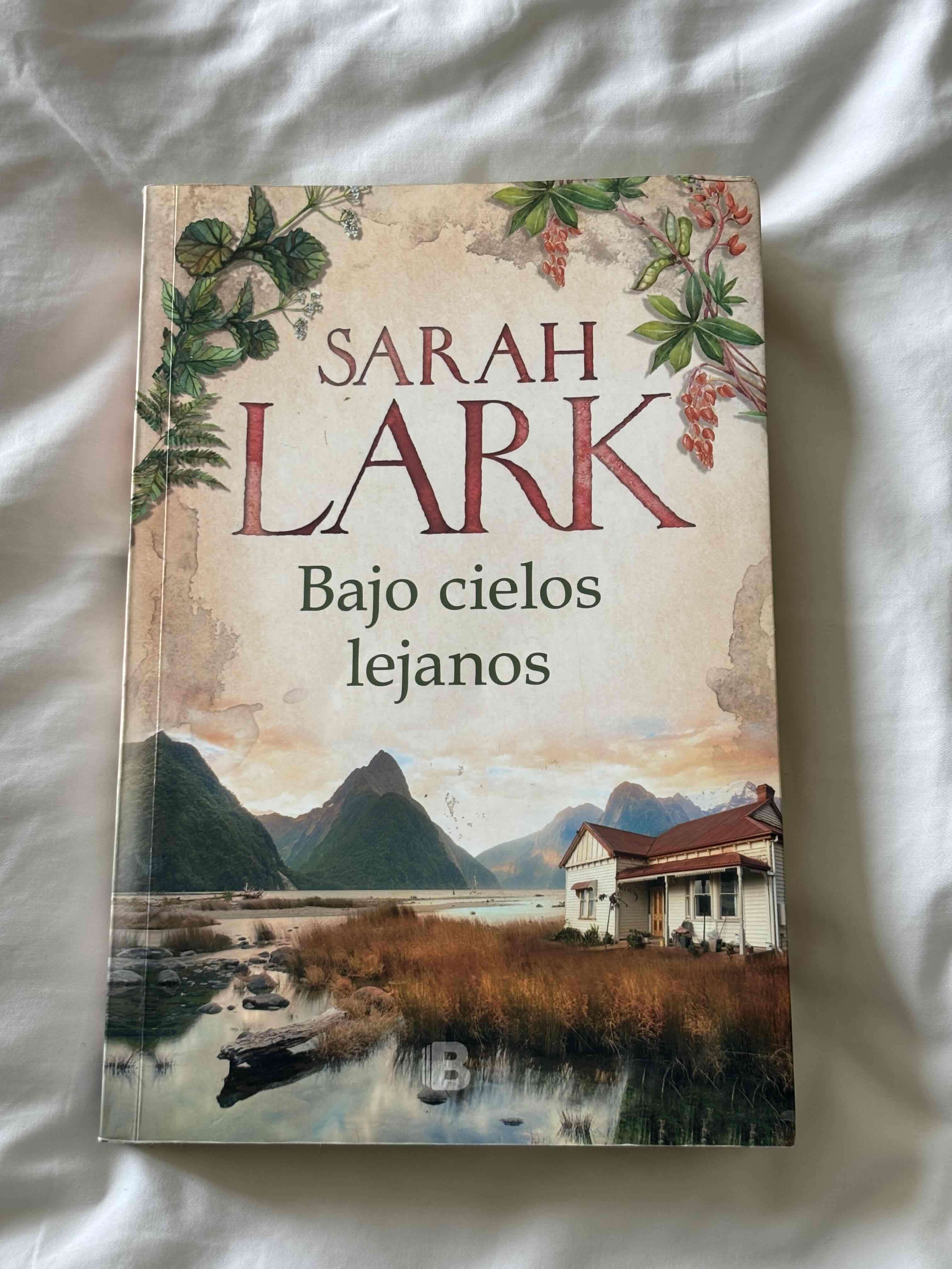 Libro 'Bajo cielos lejanos'