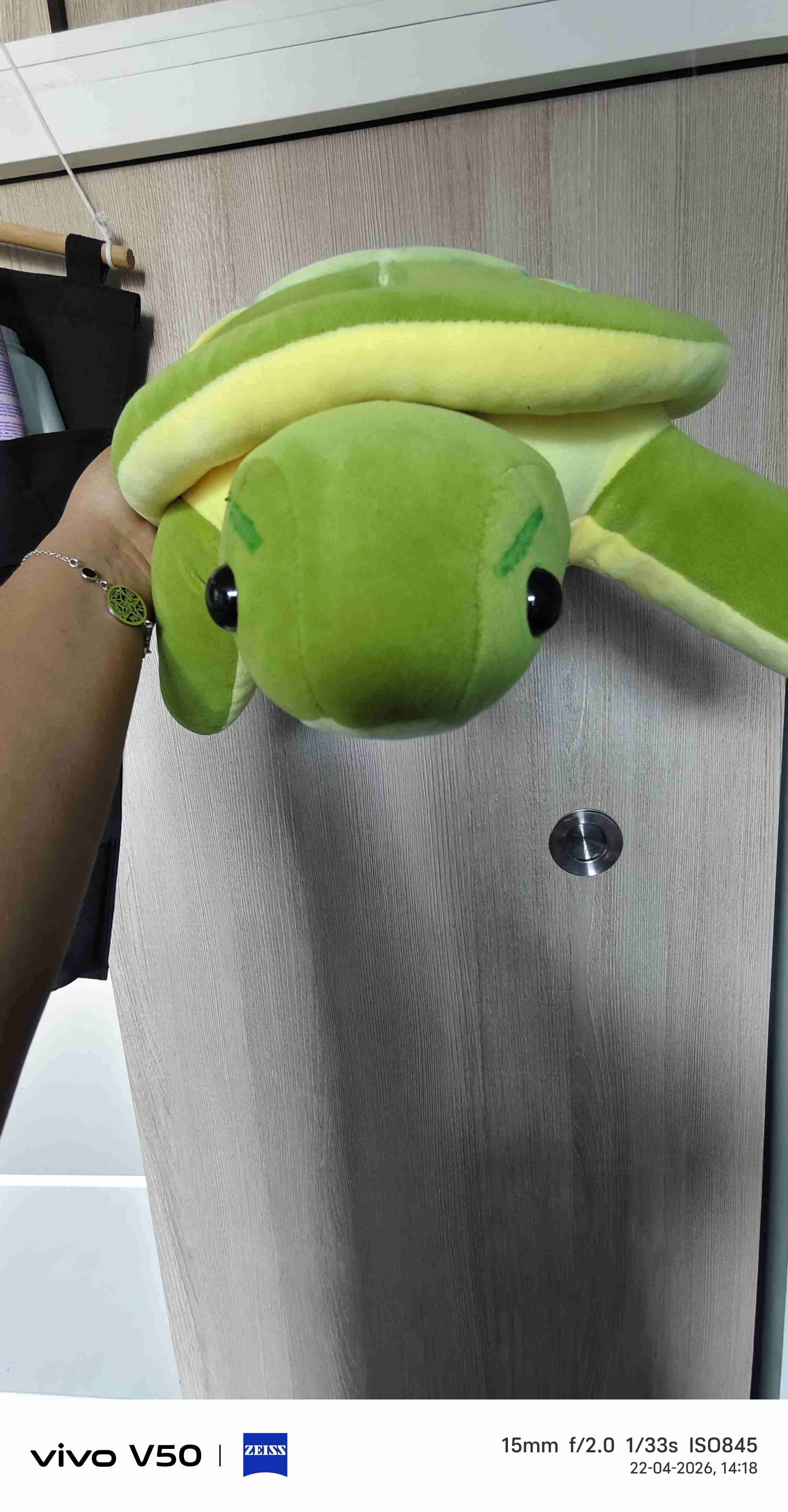 Peluche de tortuga verde - miniatura 1