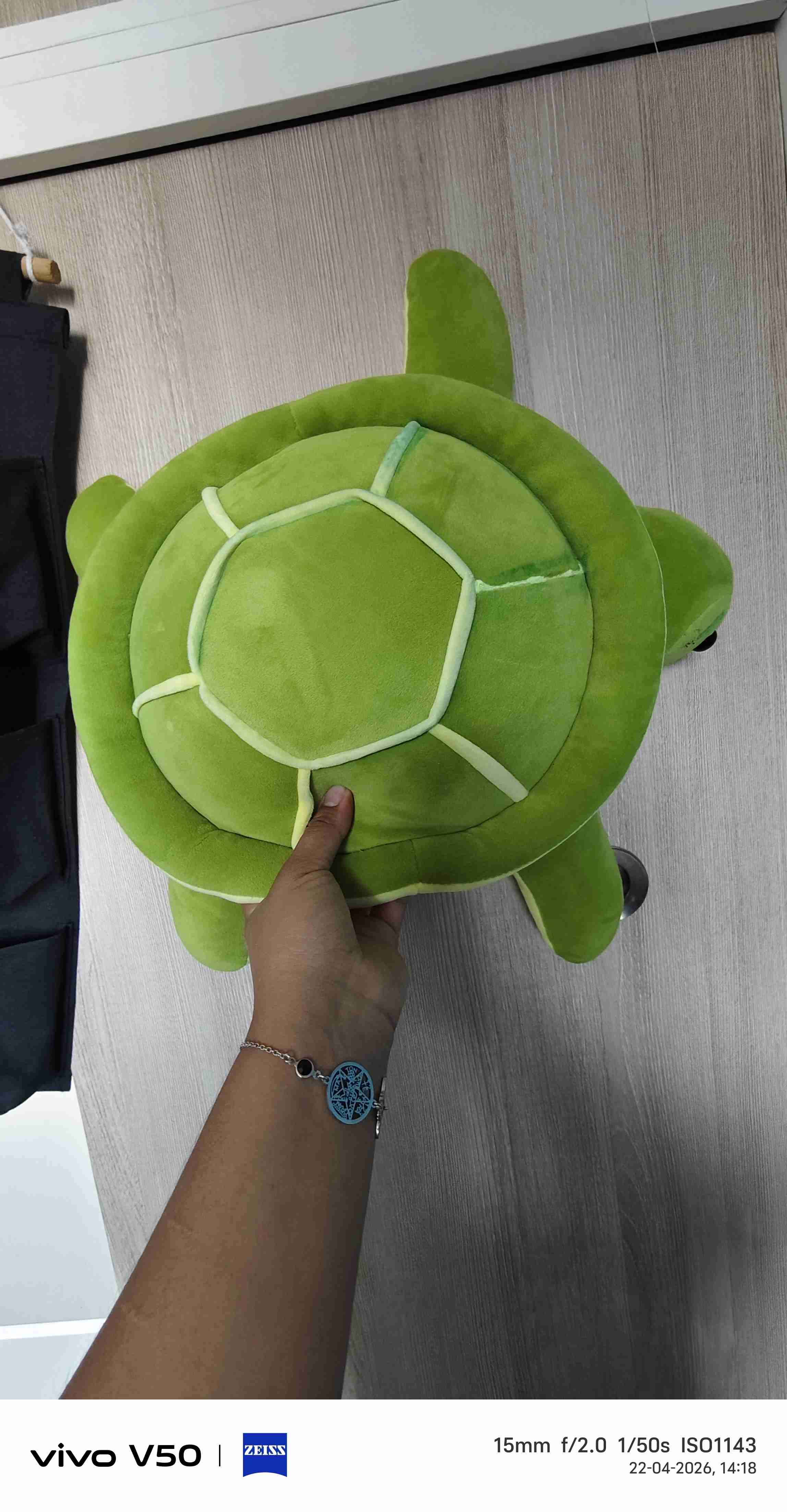 Peluche de tortuga verde - miniatura 2