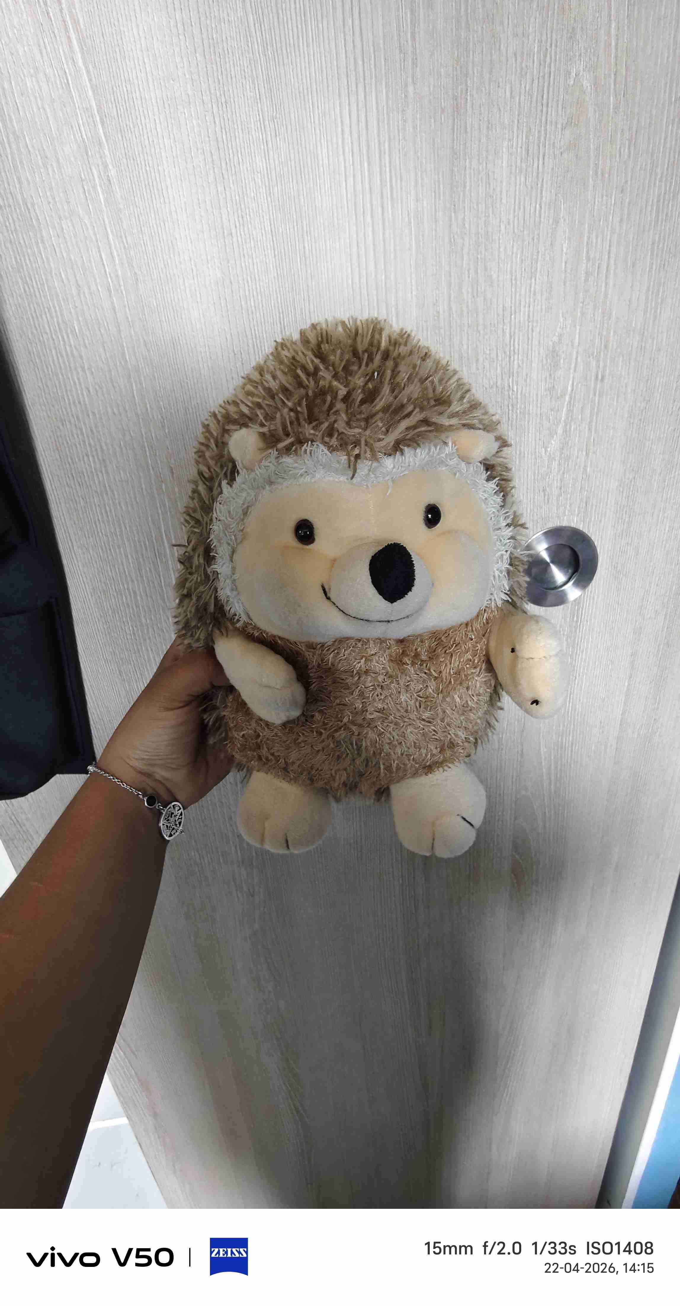 Peluche erizo color marrón