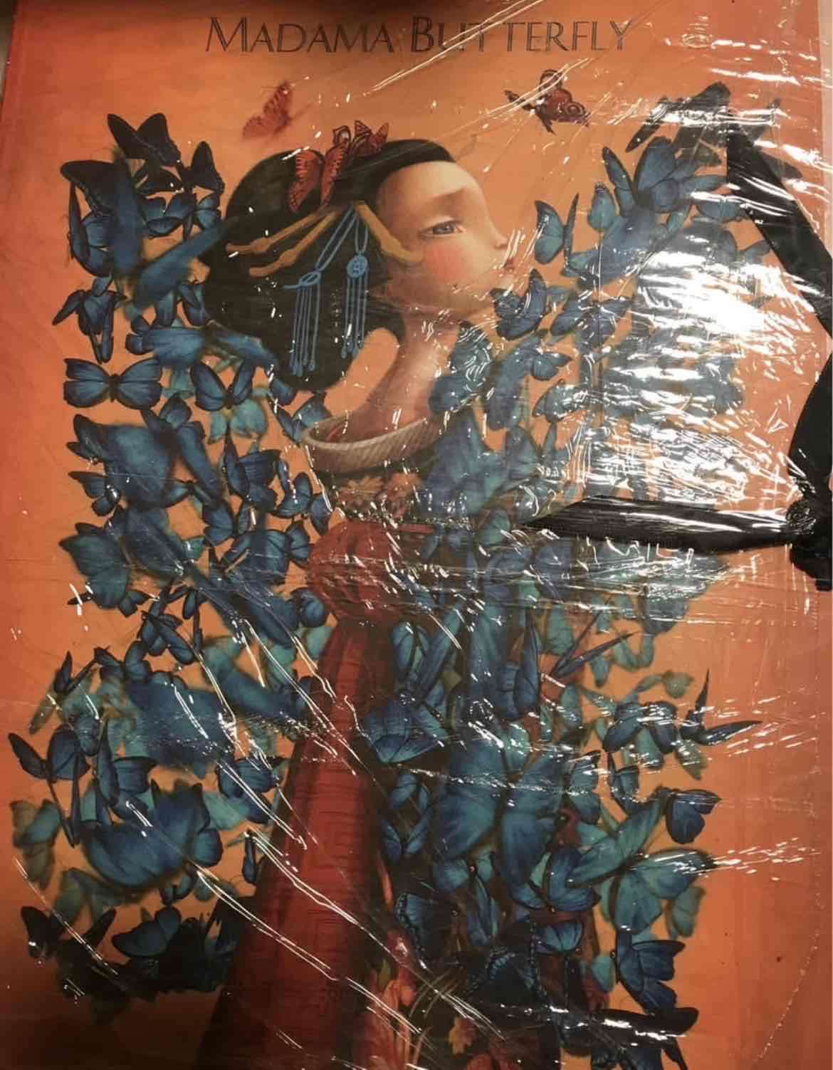Libro de arte Madama Butterfly Benjamin Lacombe
